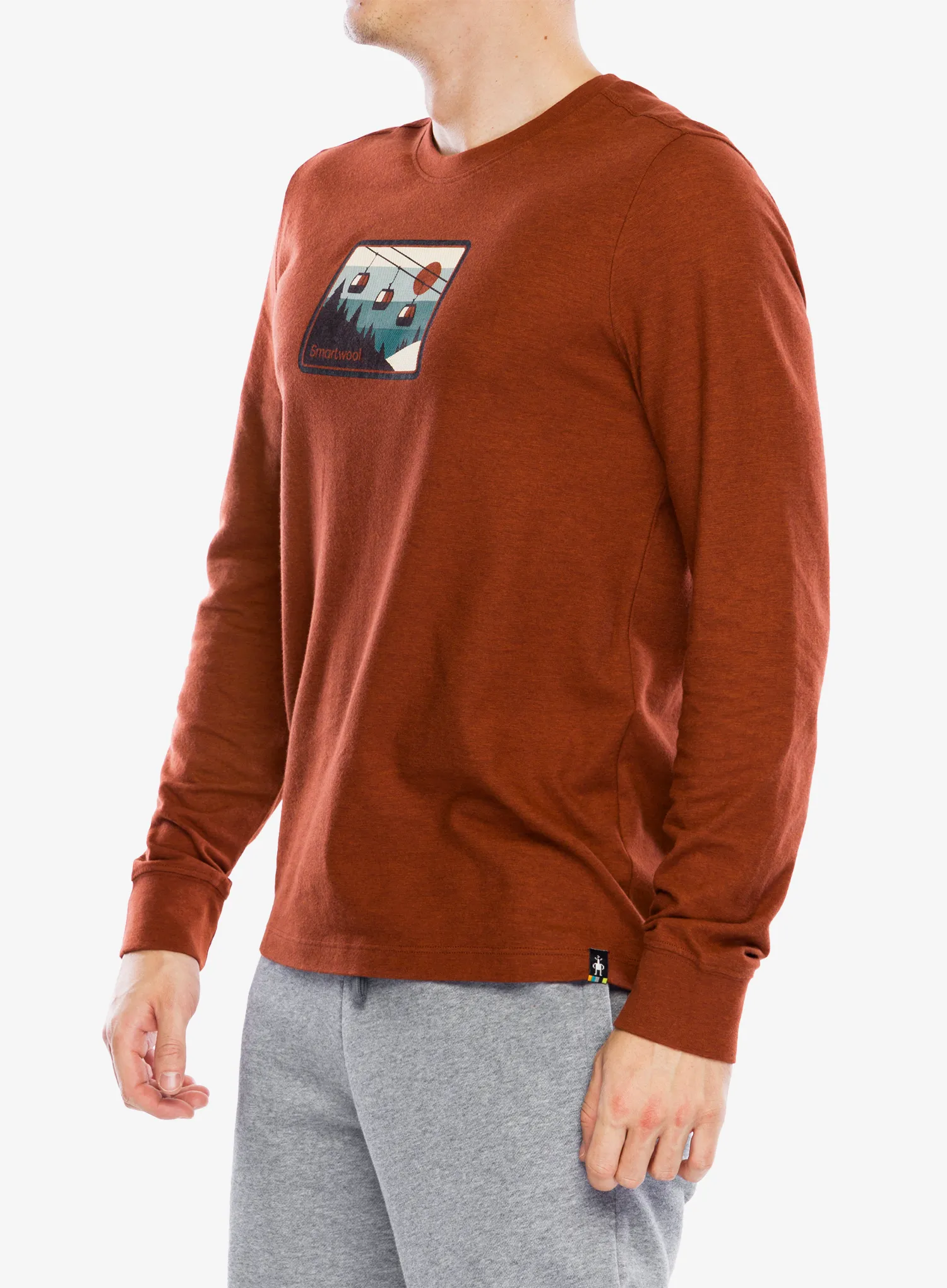 Dukserica Smartwool Gondola Ride Graphic Long Sleeve Tee - pecan brown