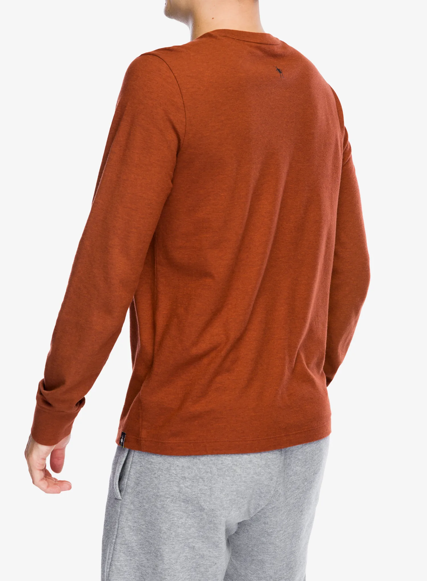 Dukserica Smartwool Gondola Ride Graphic Long Sleeve Tee - pecan brown