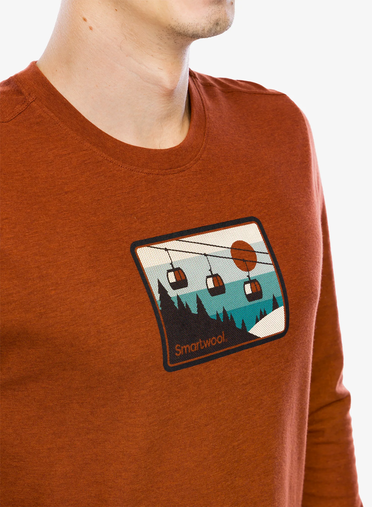 Dukserica Smartwool Gondola Ride Graphic Long Sleeve Tee - pecan brown