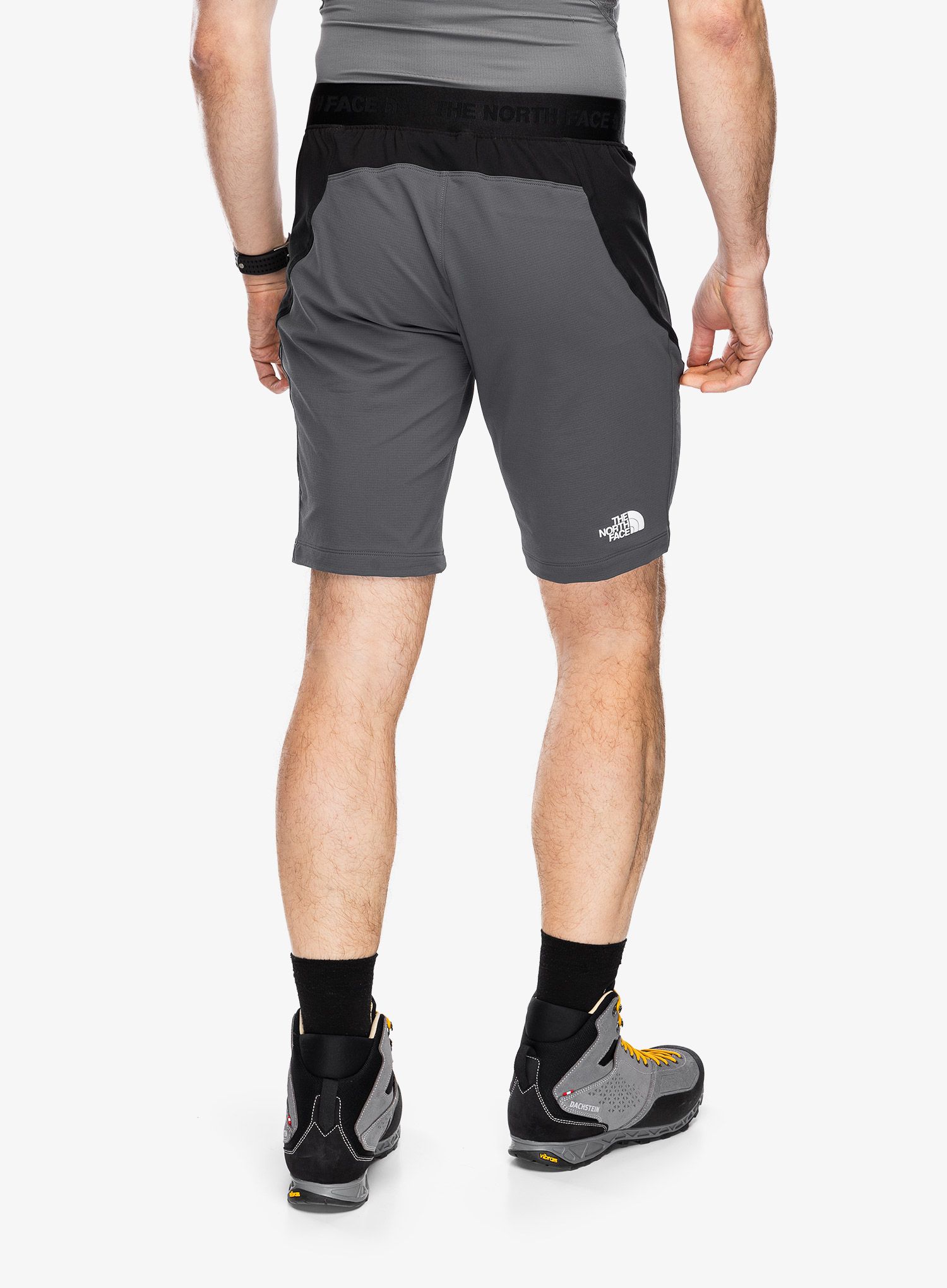 Muške kratke hlače The North Face Circadian Alpine Short - tnf black/asphalt grey