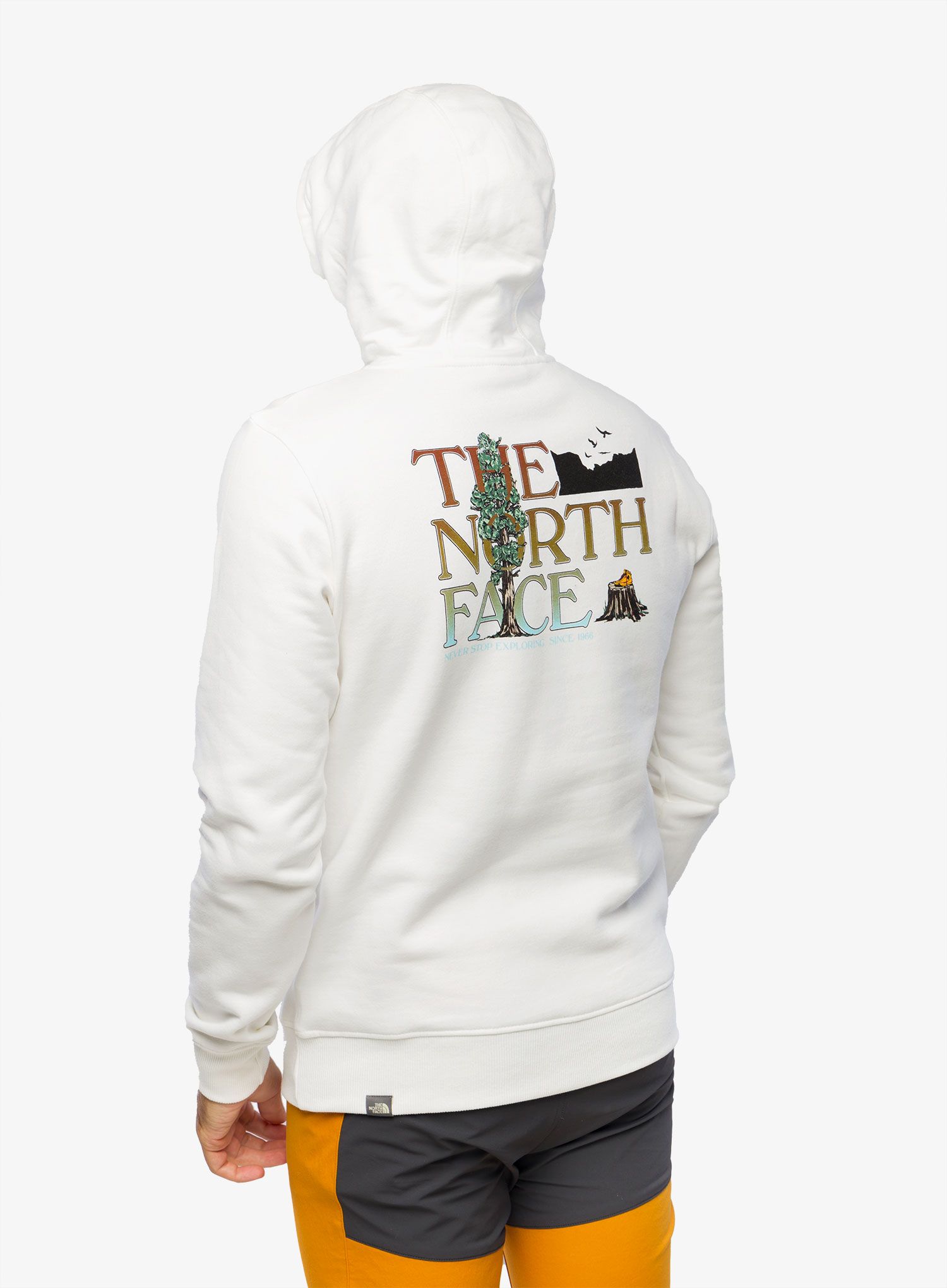 Majica s kapuljačom The North Face Seasonal Graphic Hoodie - white/brown