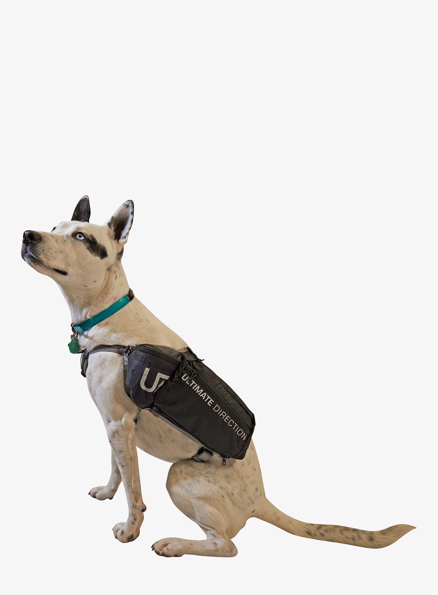 Bisage za psa Ultimate Direction Dog Vest - black