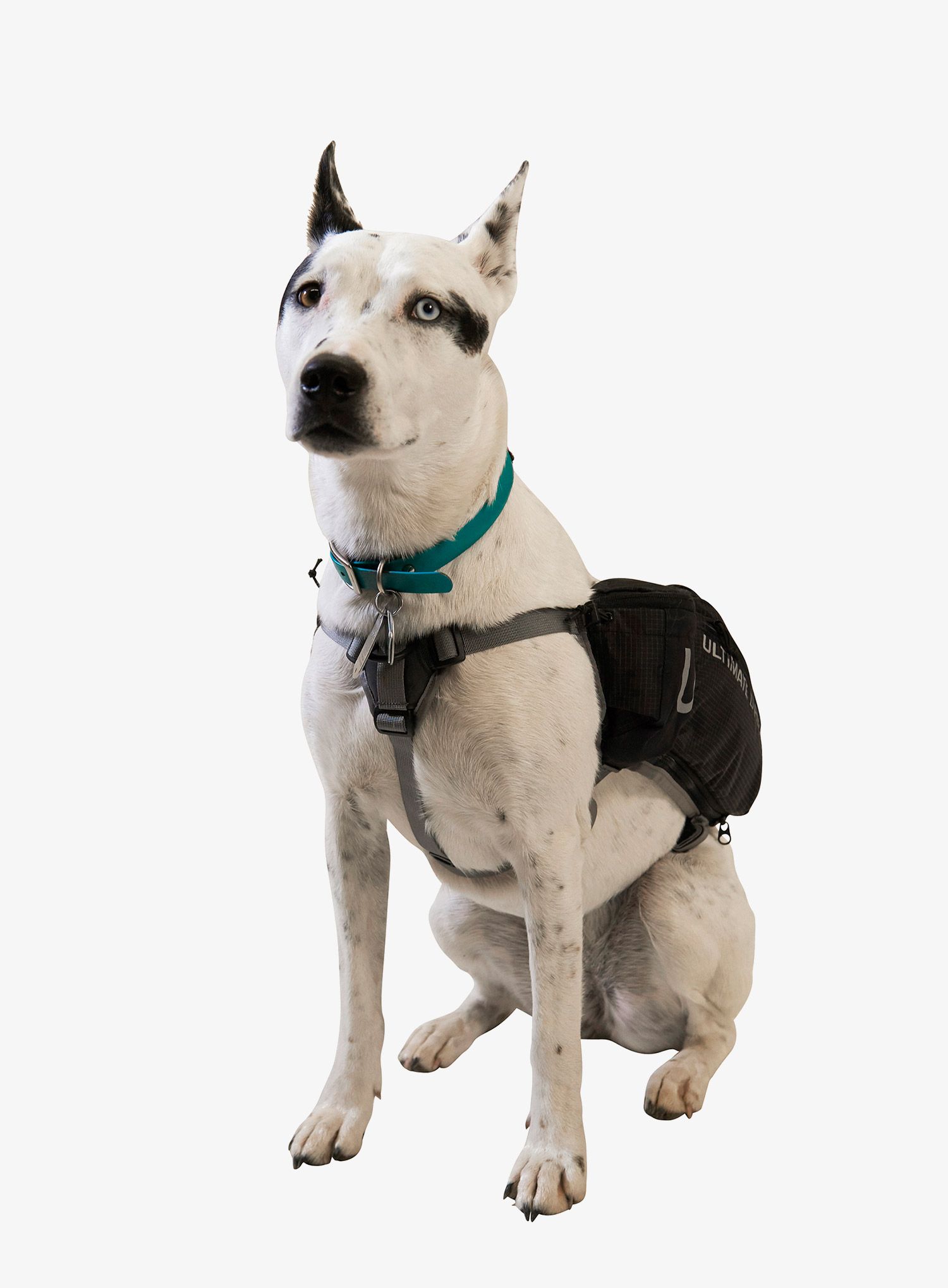 Bisage za psa Ultimate Direction Dog Vest - black