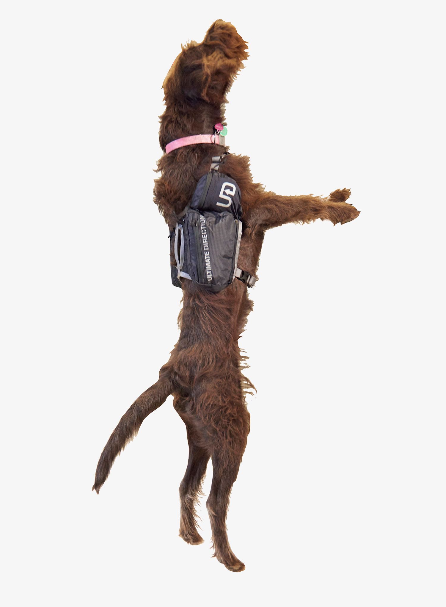 Bisage za psa Ultimate Direction Dog Vest - black