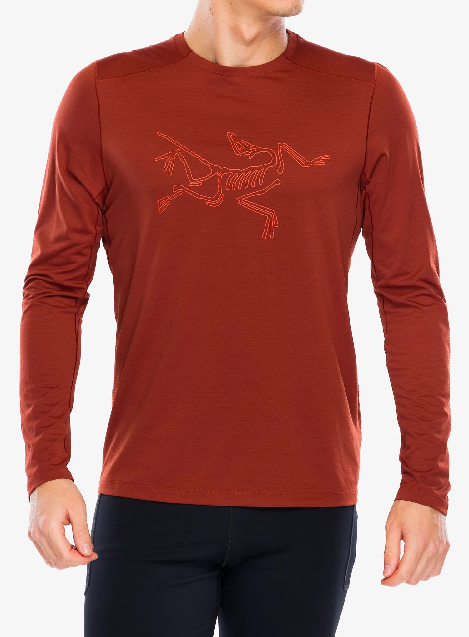 Dukserica za trčanje Arcteryx Cormac Logo LS - sequoia heather/solaris