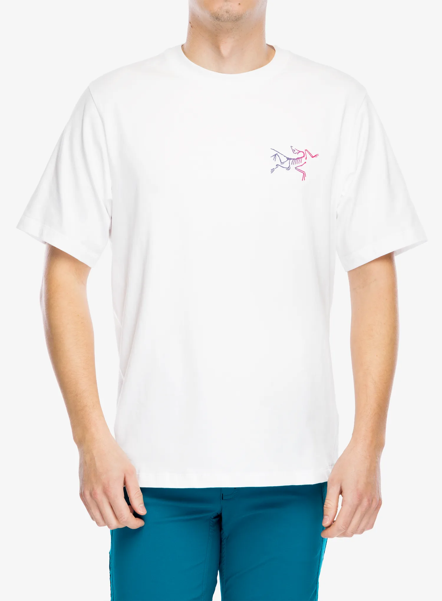Penjačka majica Arcteryx Kragg Cotton Logo SS - white light/multi