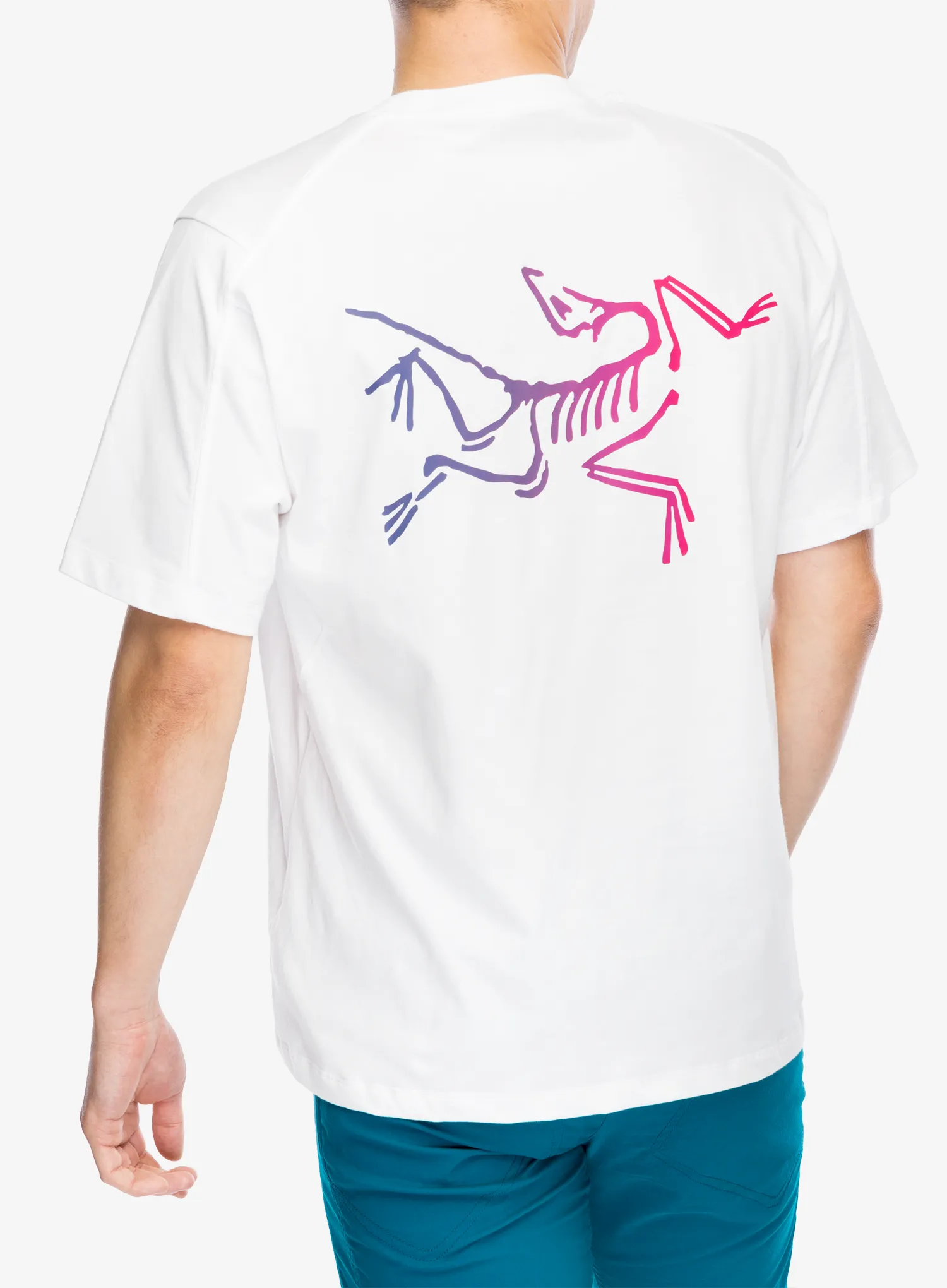Penjačka majica Arcteryx Kragg Cotton Logo SS - white light/multi