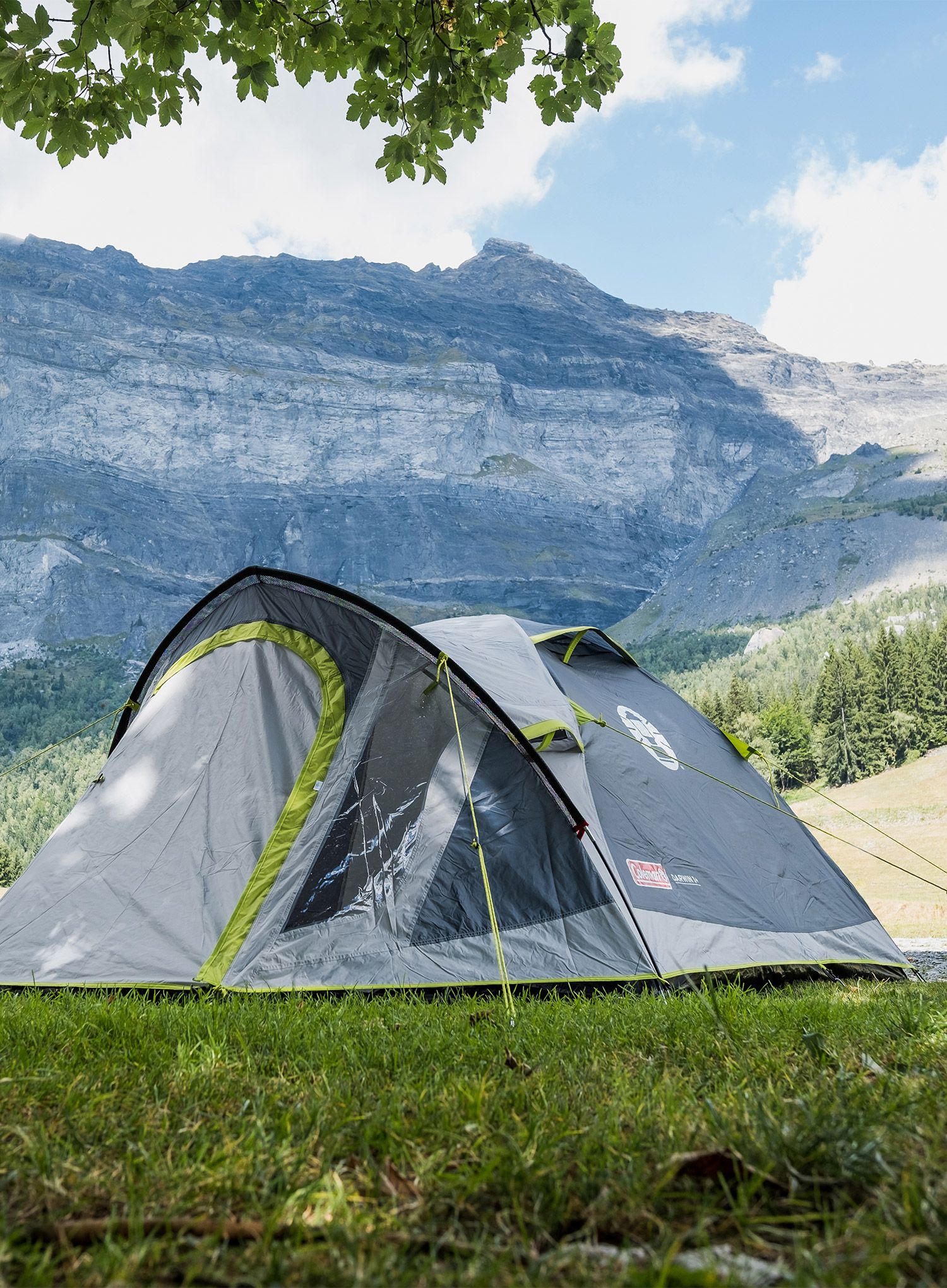 Šator za tri osobe Coleman Darwin 3 Plus - grey/green