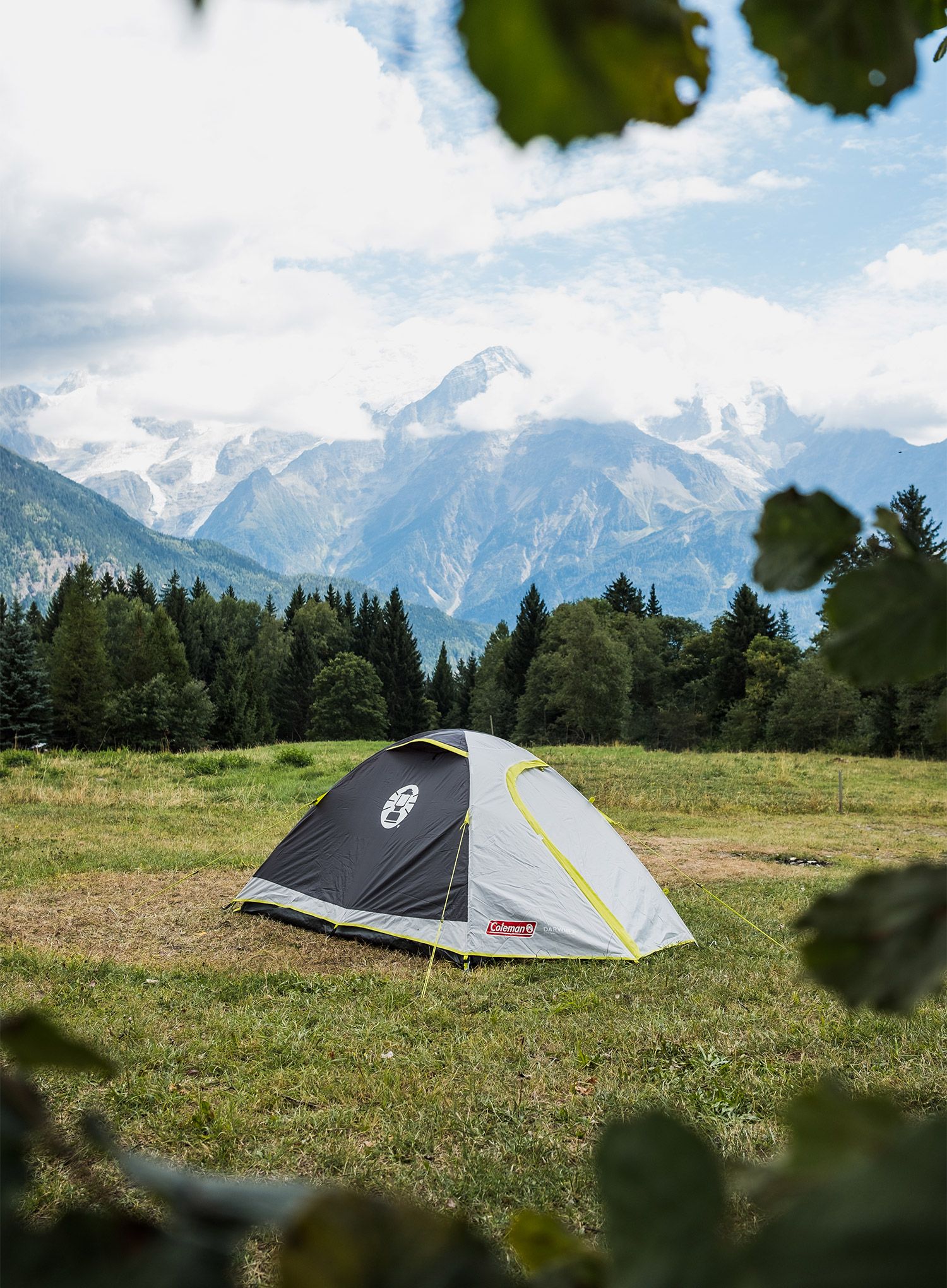 Šator za tri osobe Coleman Darwin 3 Plus - grey/green