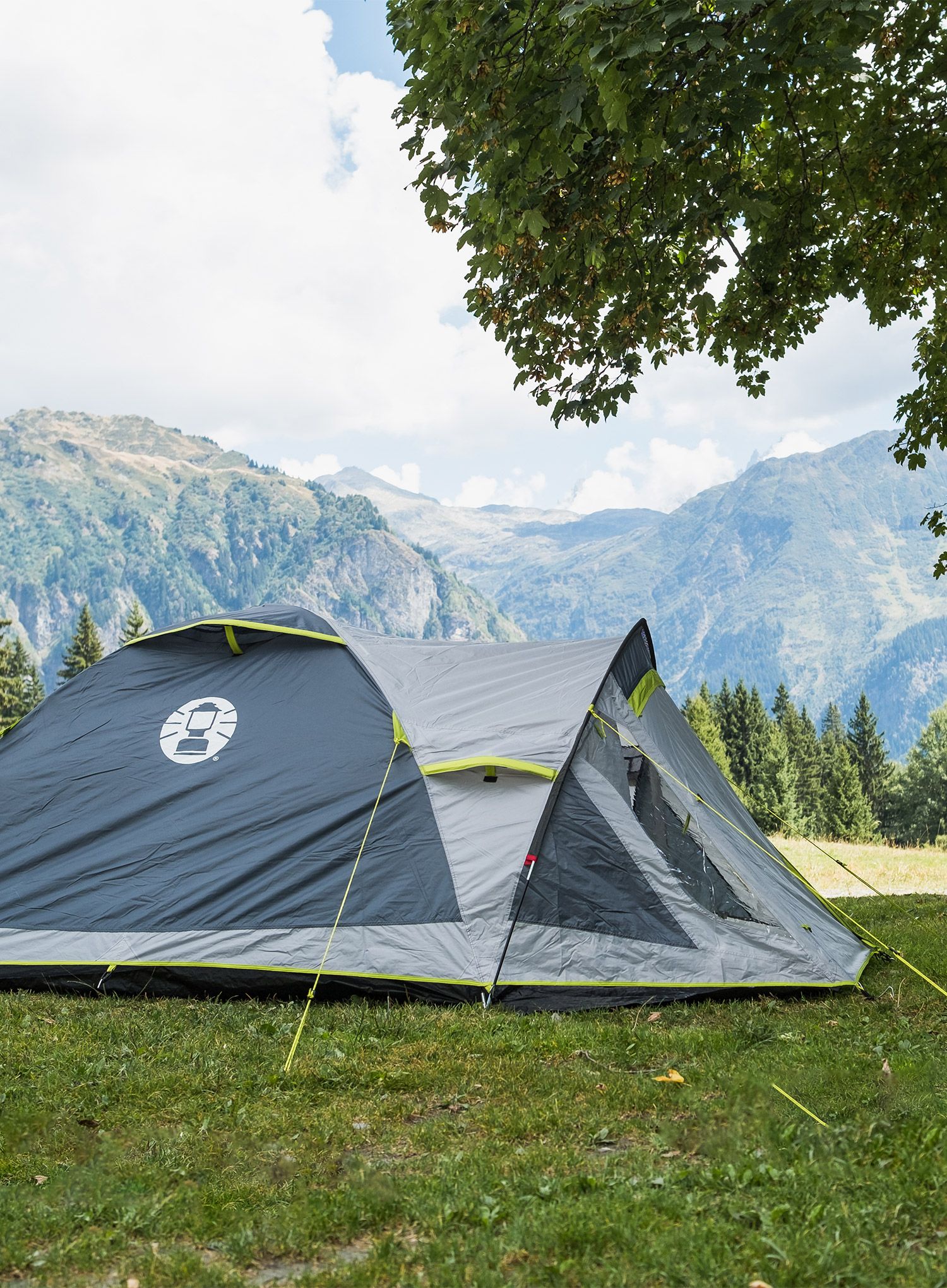 Šator za tri osobe Coleman Darwin 3 Plus - grey/green