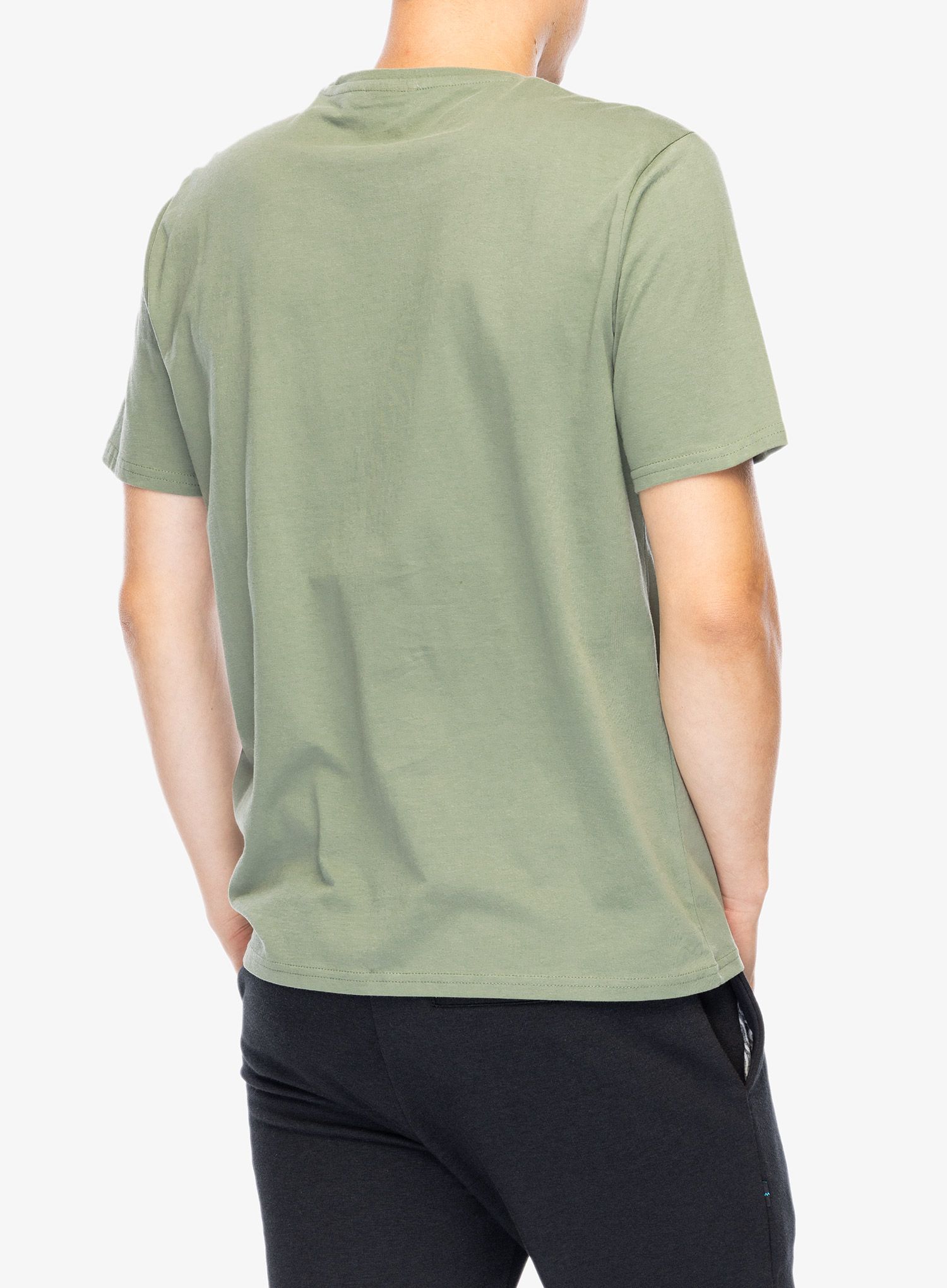 Pamučna majica Didriksons Harald T-Shirt Light House - light moss