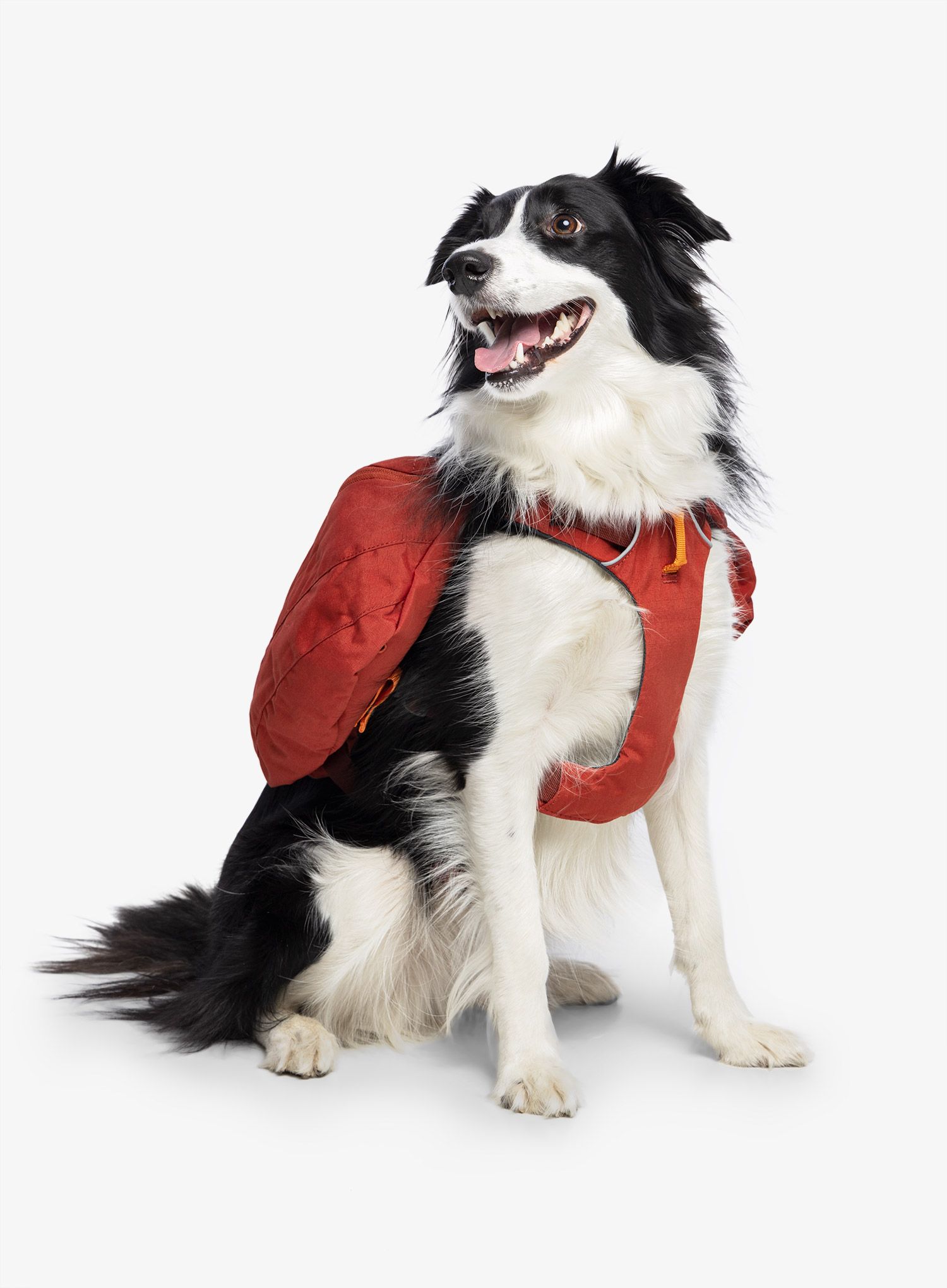Ruksak za psa Ruffwear Front Range Day Pack - red clay
