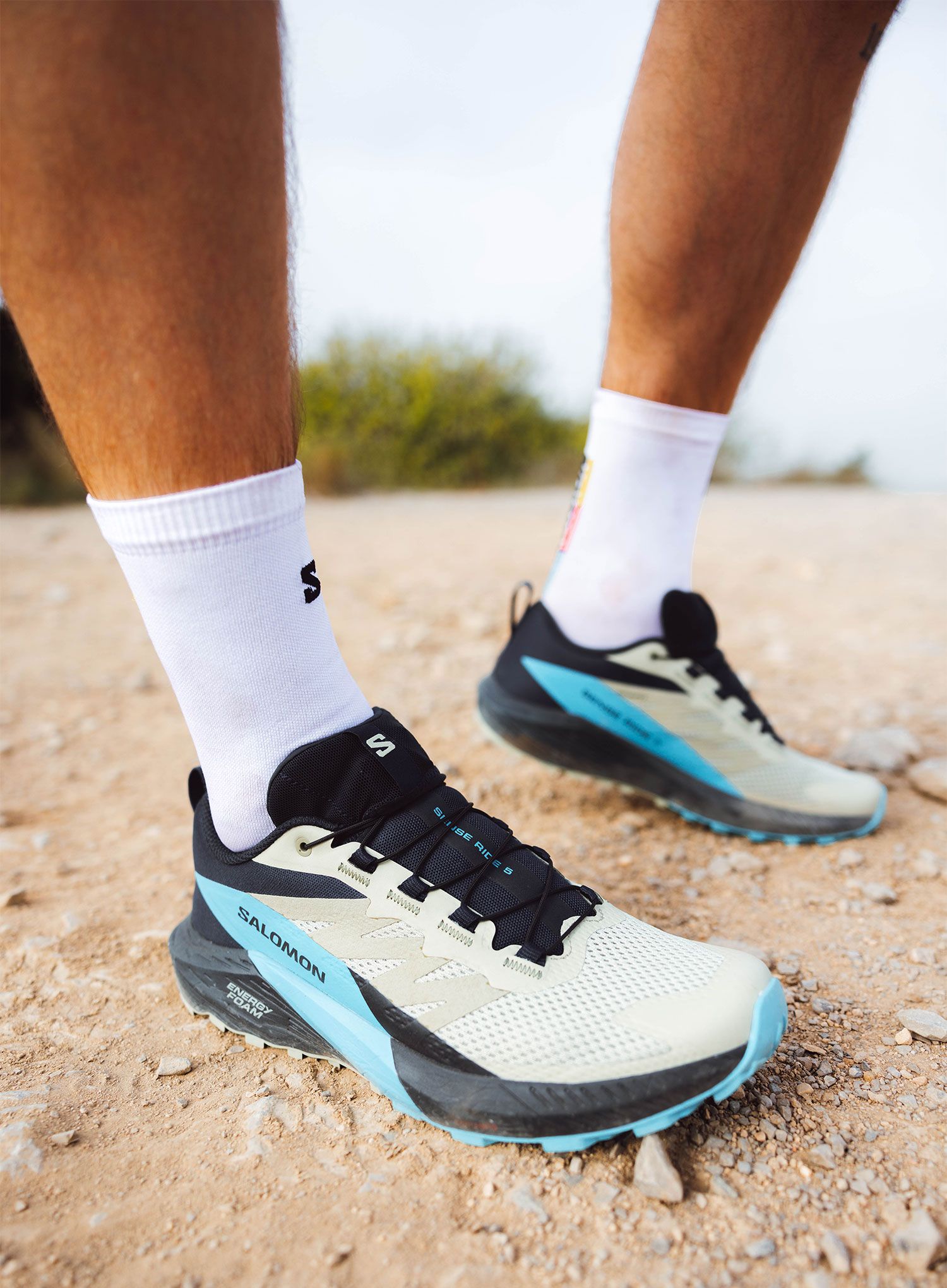 Tenisice za trail trčanje Salomon Sense Ride 5 - alfalfa/carbon/blue