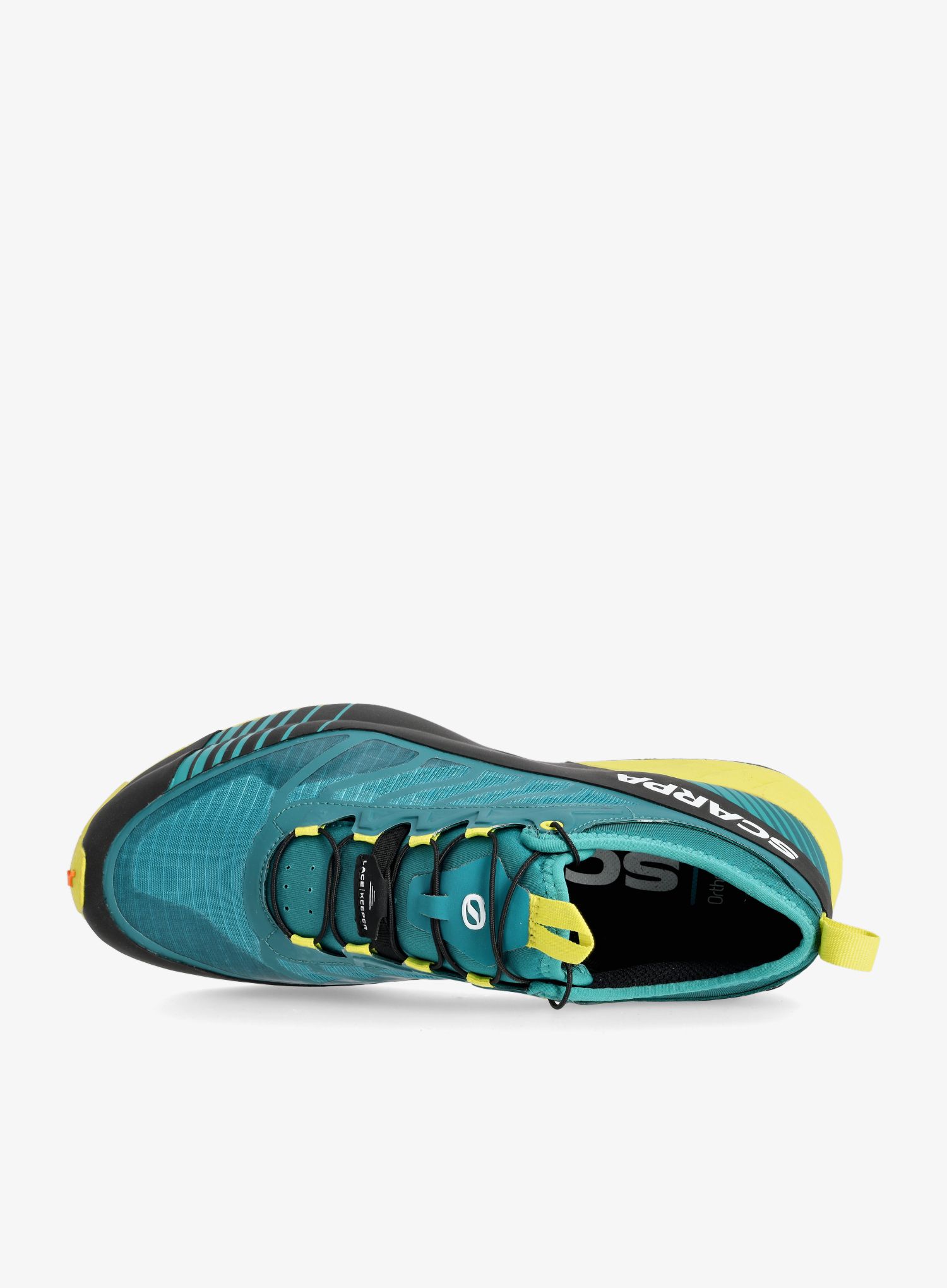 Muške tenisice za trčanje Scarpa Ribelle Run GTX - lake/lime