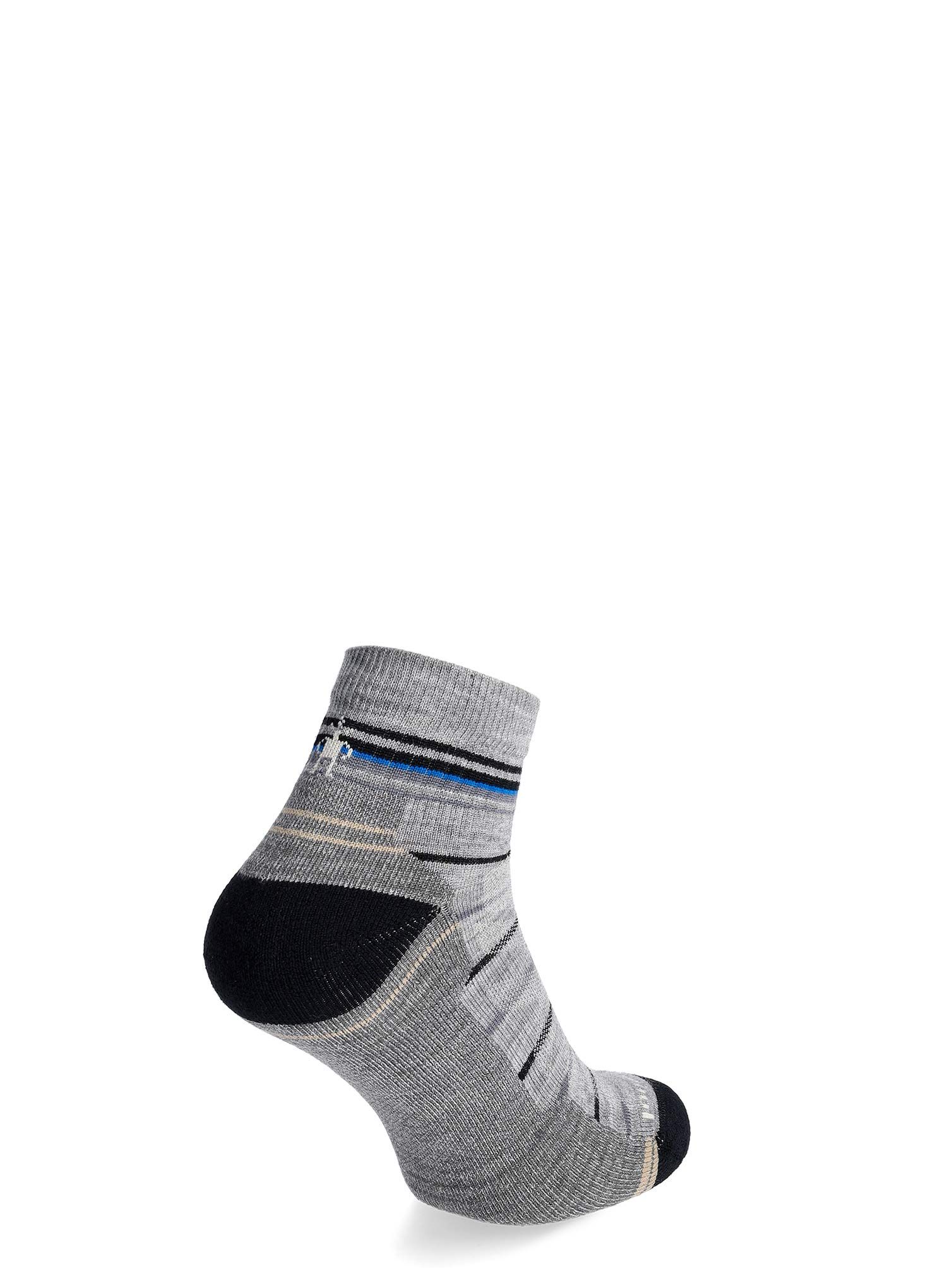 Planinarske čarape Smartwool Performance Hike Light Cushion - gray