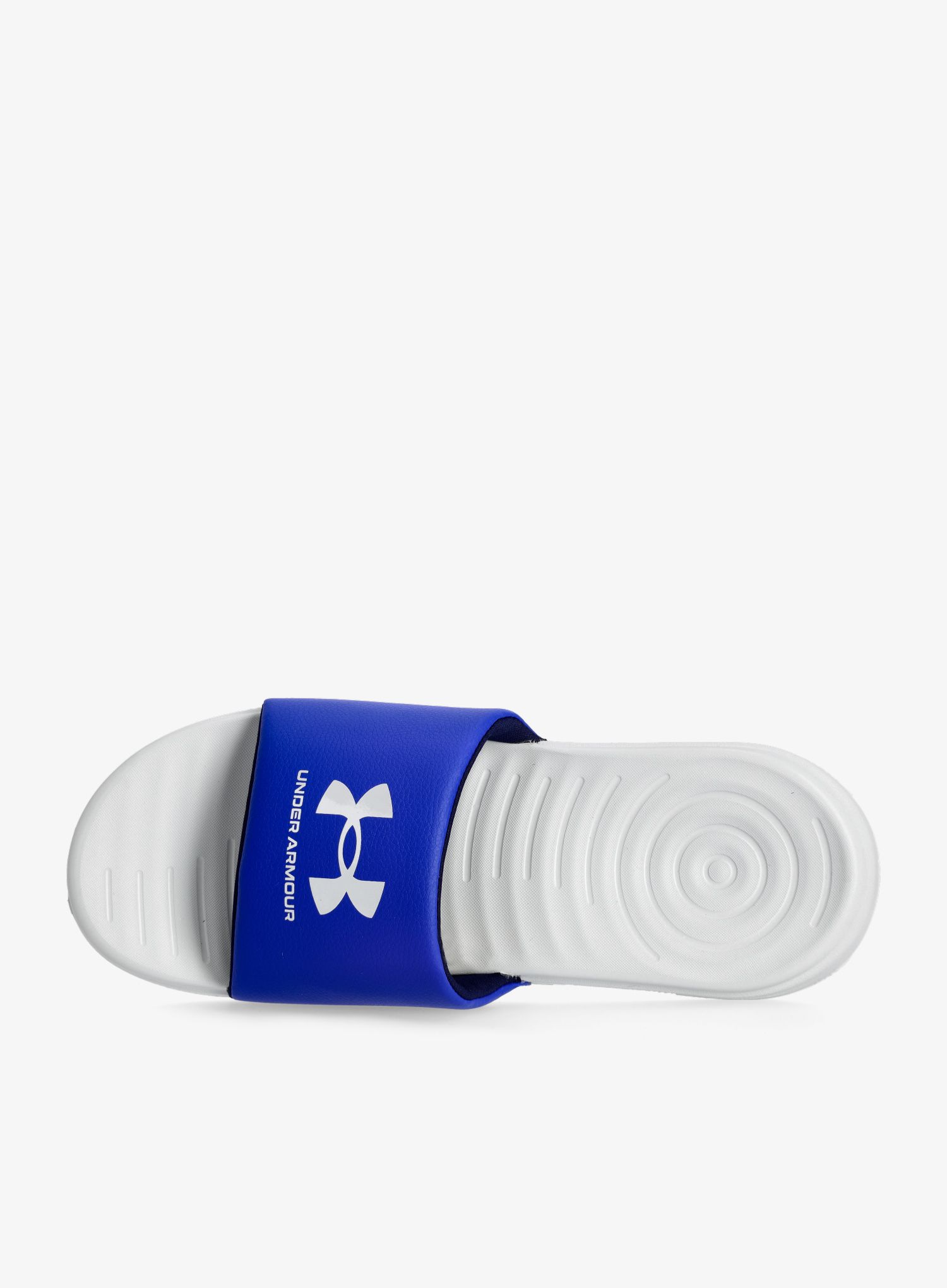 Papuče Under Armour Ansa Fix SL - halo gray/royal/halo gray