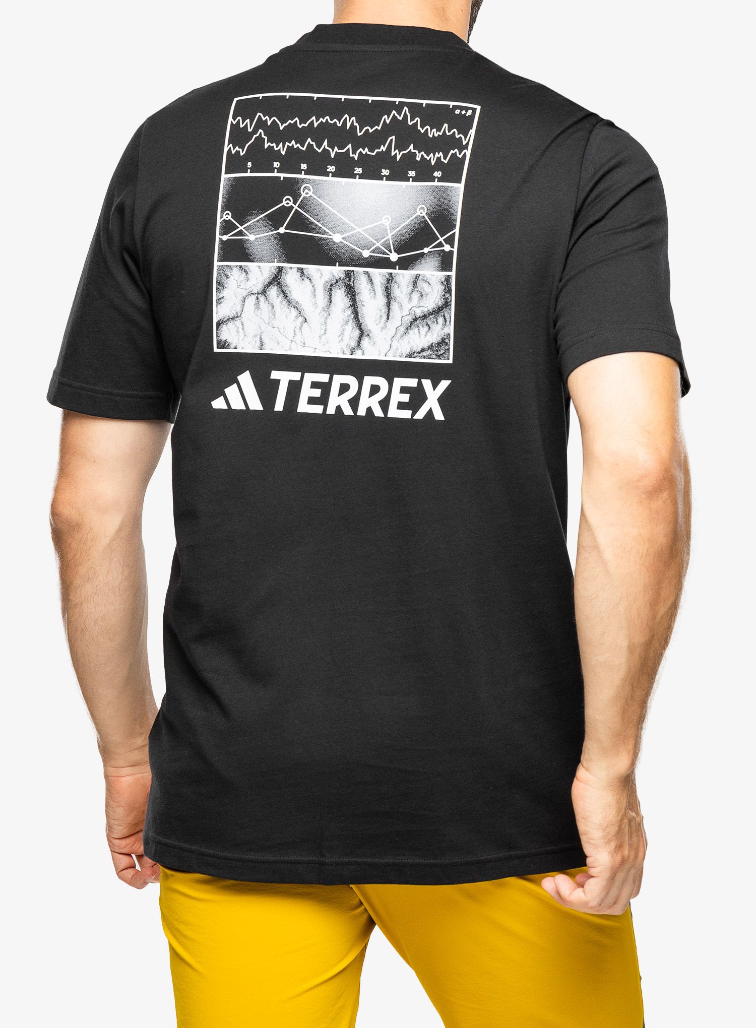 Pamučna majica adidas TERREX Graphic Altitude Tee - black
