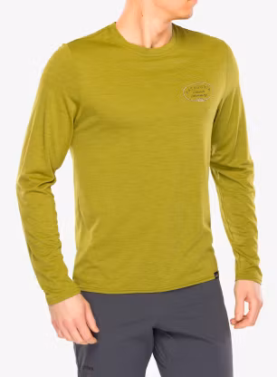 PatagoniaLSCapCoolDailyGraphicShirtLands_cleanclimbrootsgrazegreen_196924845831_017.webp