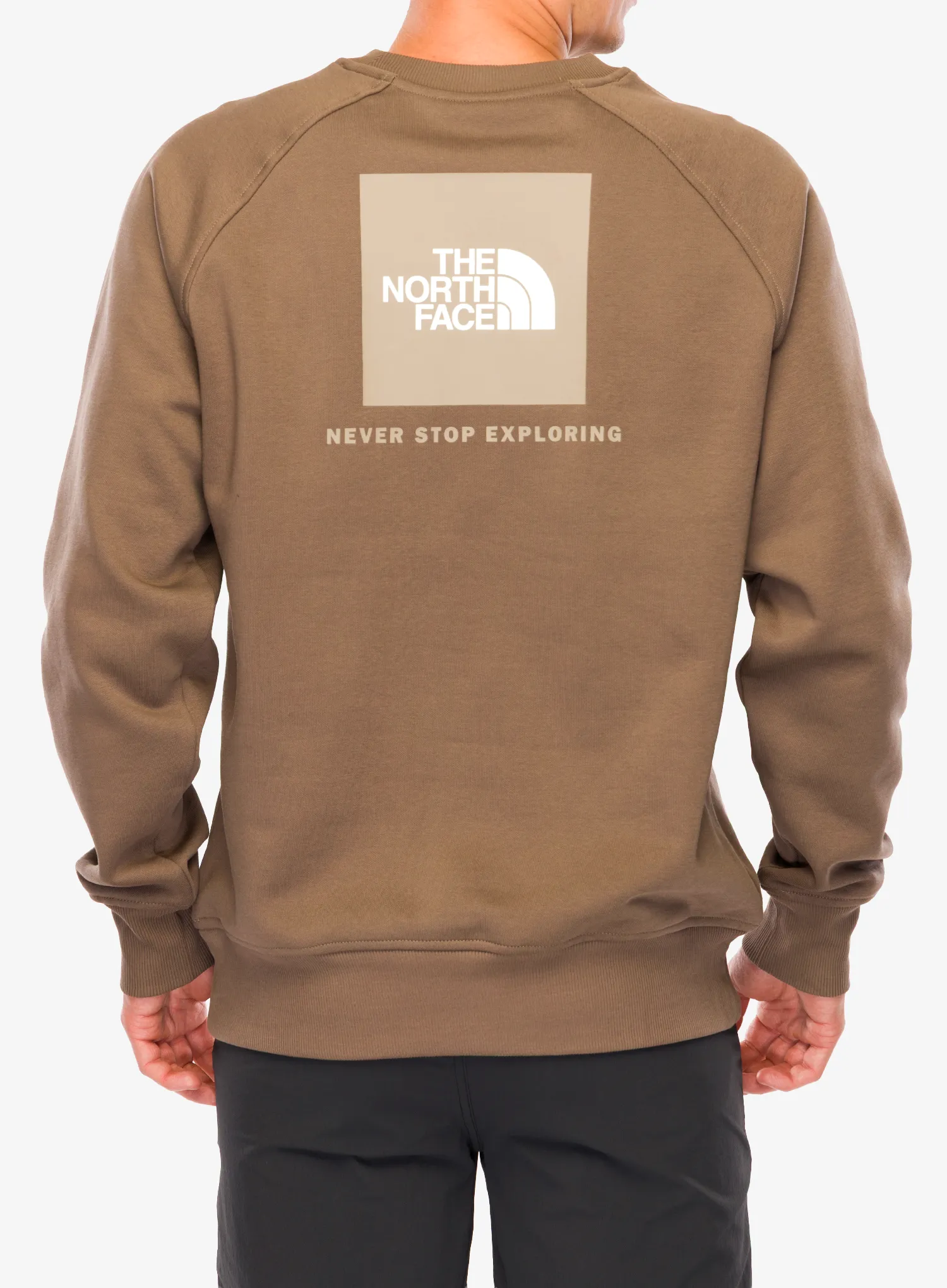 Dukserica The North Face Raglan Redbox Crew - mocha brown/mushroom