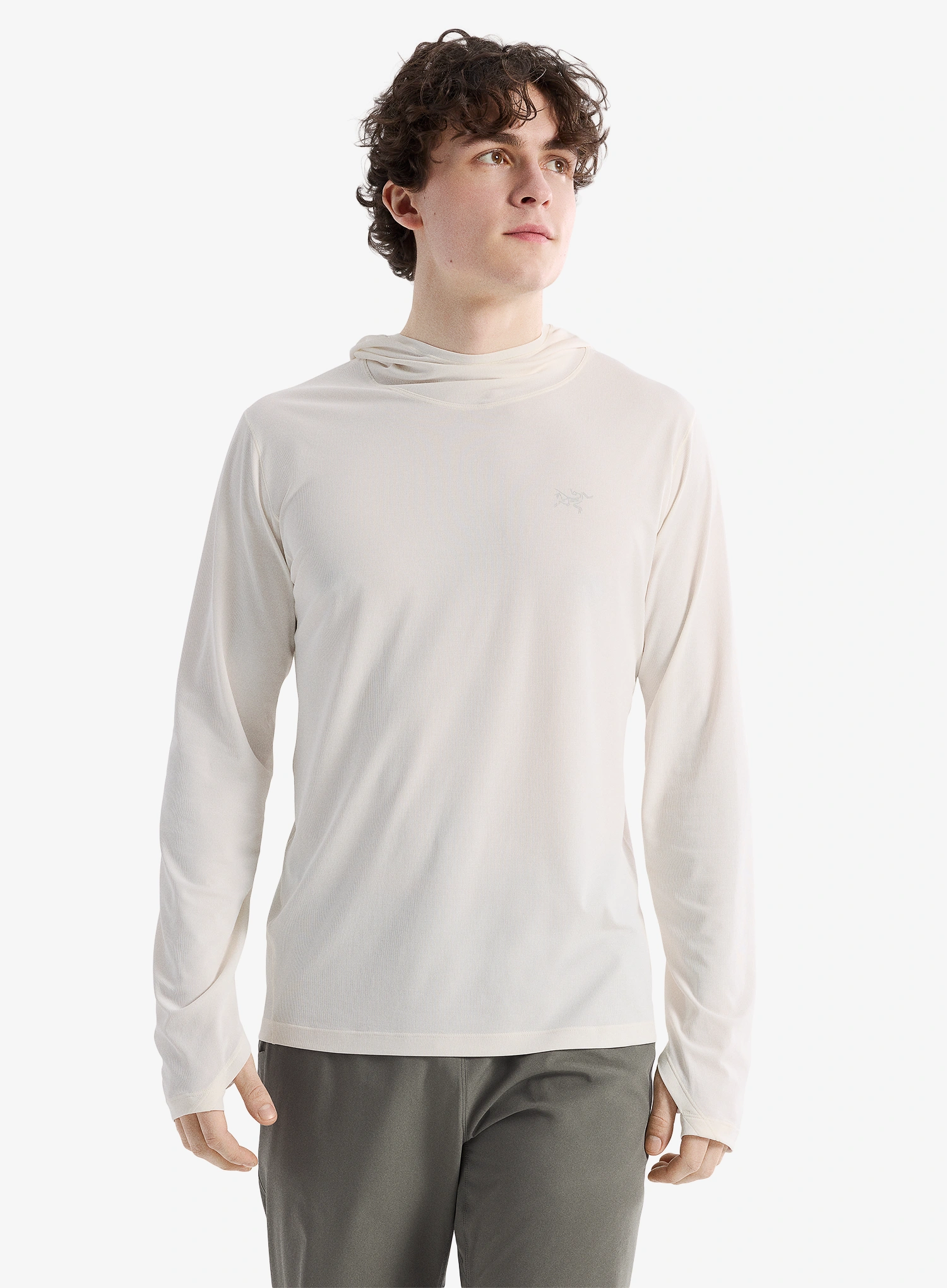 qweArcteryxCormacHoodyarcticsilk623555816041e.webp