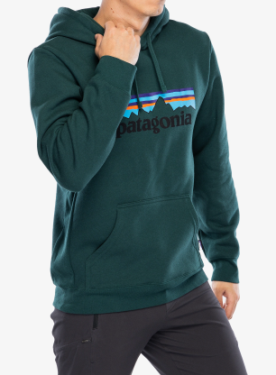 PatagoniaP_6LogoUprisalHoody_cascadegree198077425021a.webp