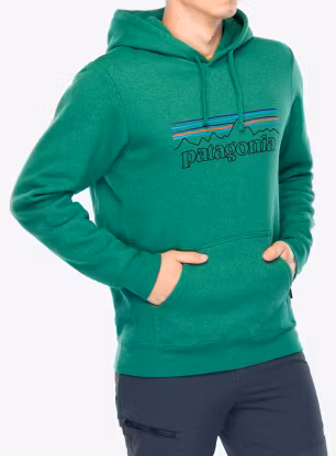 PatagoniaP_6LogoUprisalHoody_p_6outlineheartleafgreen196924916777a.webp
