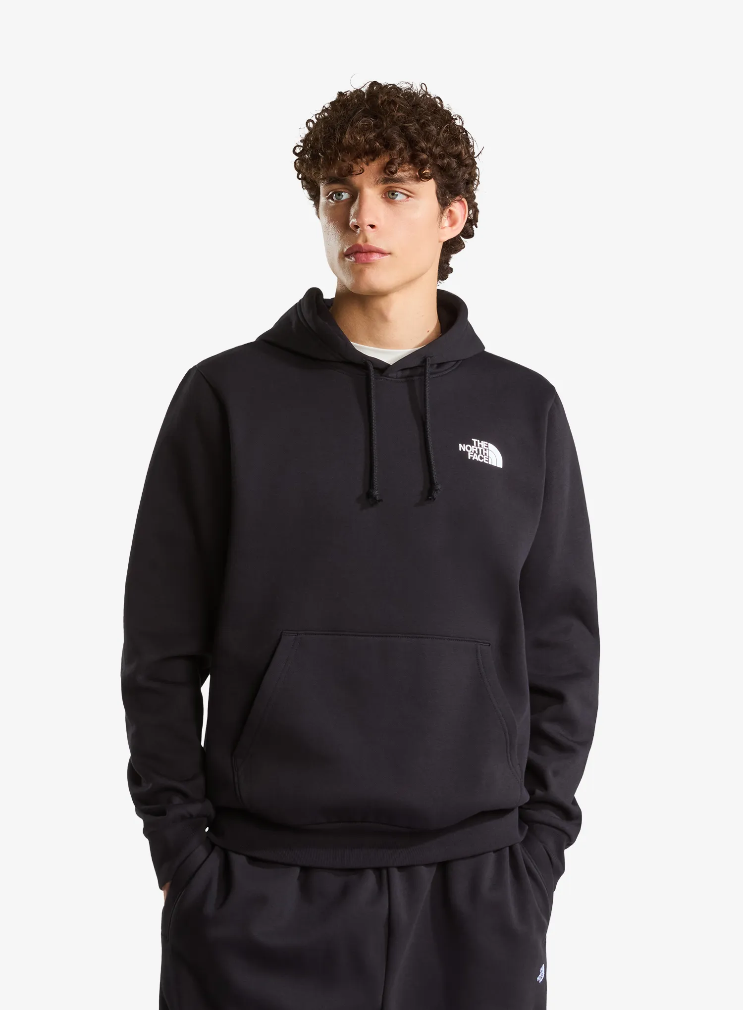 TheNorthFaceEvolutionBoxNSERegularHoodie_tnfblack_fw26_197804173365_1_112.webp
