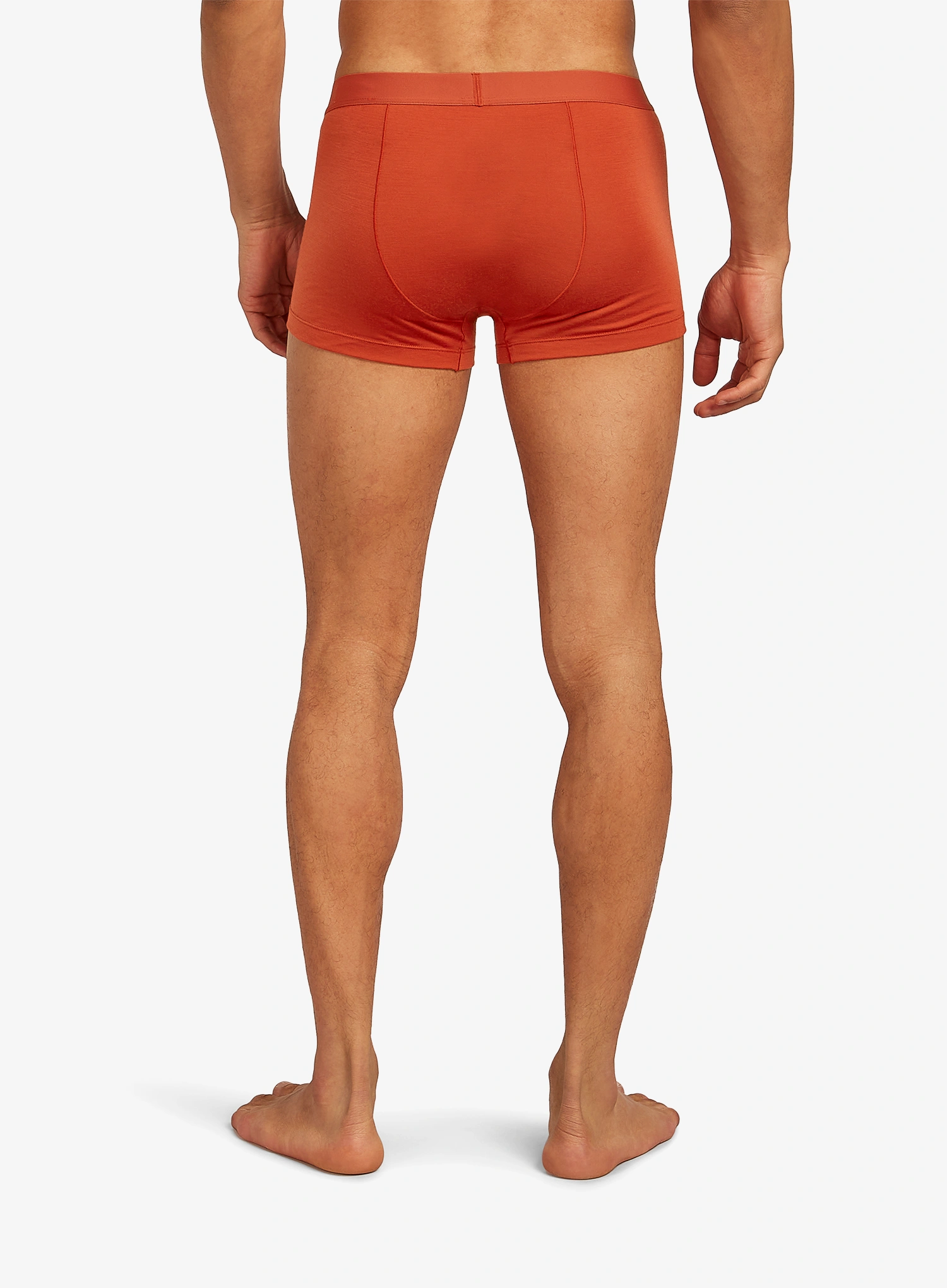 Termoaktivne bokserice Icebreaker Merino 125 Cool-Lite Anatomica Trunks - agate