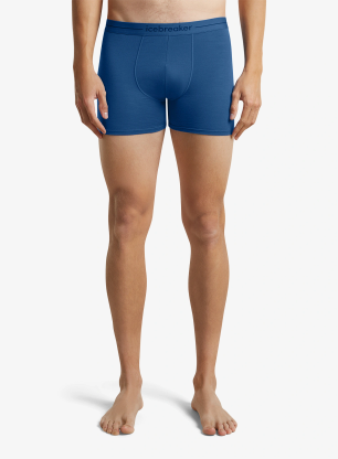 qwe_IcebreakerMerino150AnatomicaBoxerslazurite196010454473A.webp