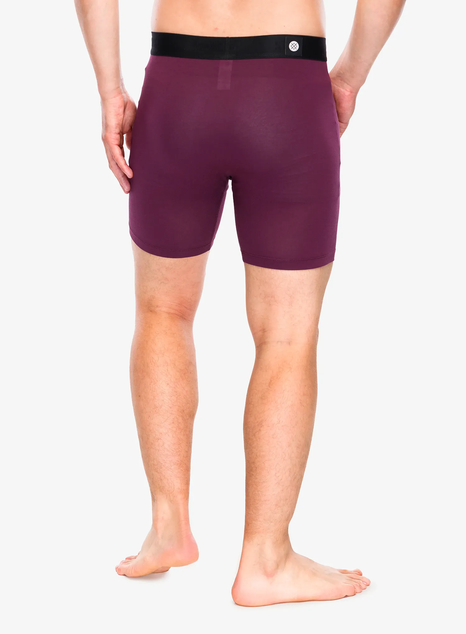 Termoaktivne bokserice Stance Fig Wholester - fig