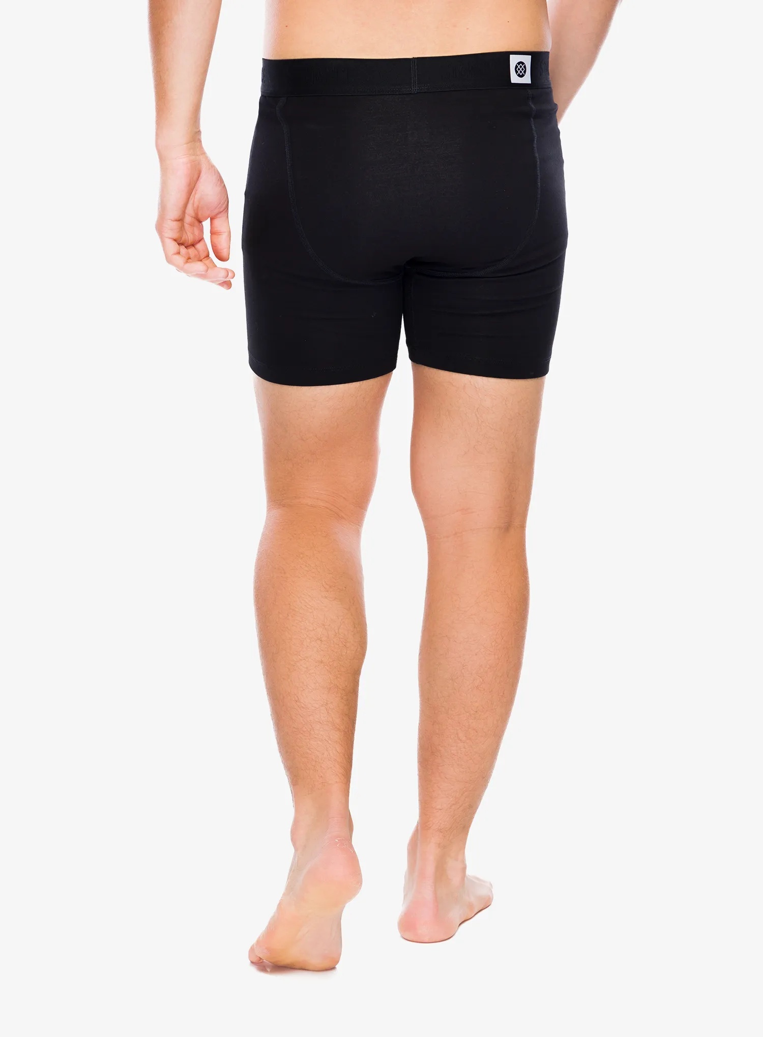 Termoaktivne bokserice Stance Standard 6in Boxer Brief - black