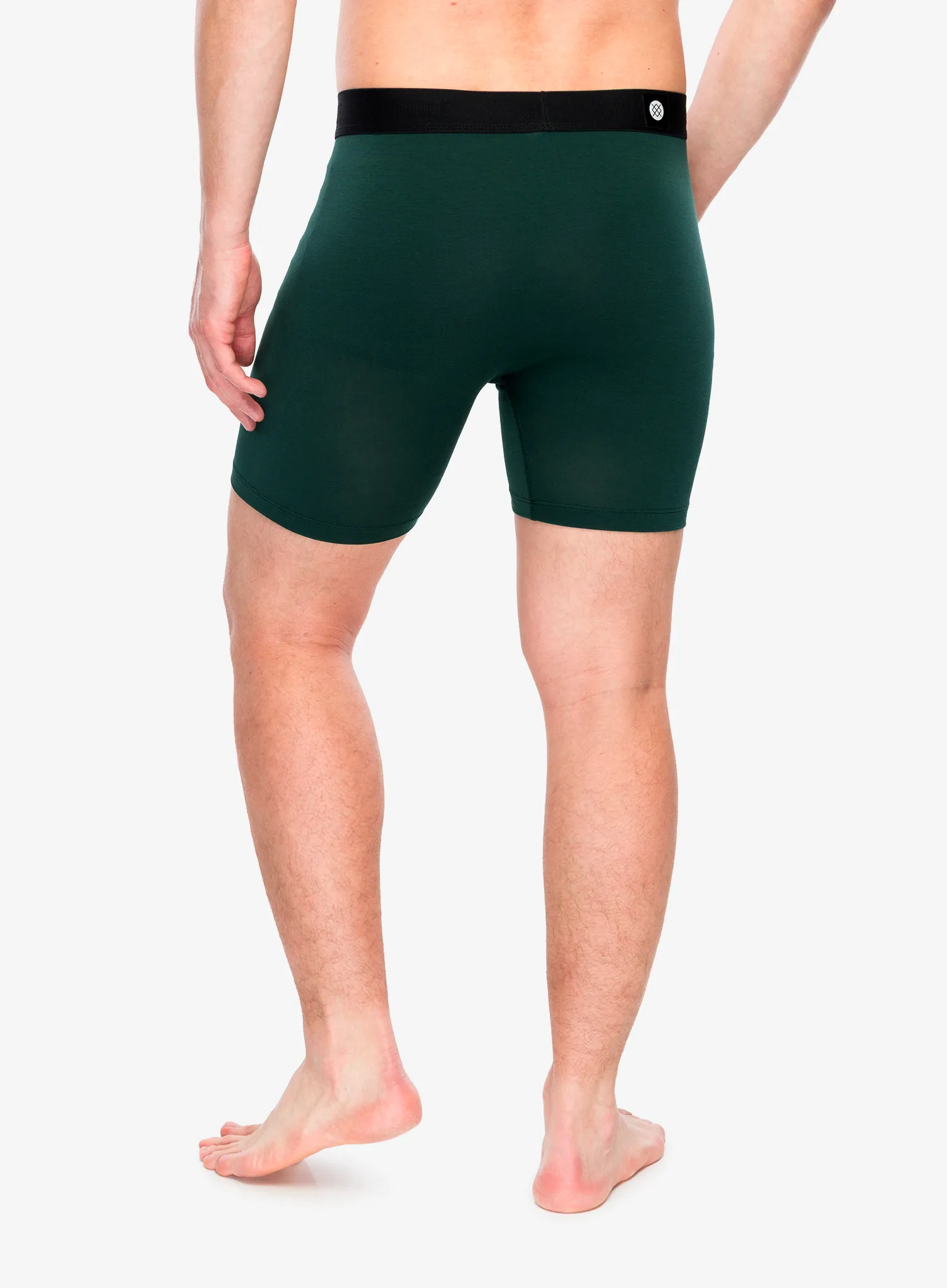 Termoaktivne bokserice Stance The Boxer Brief - pine wholester