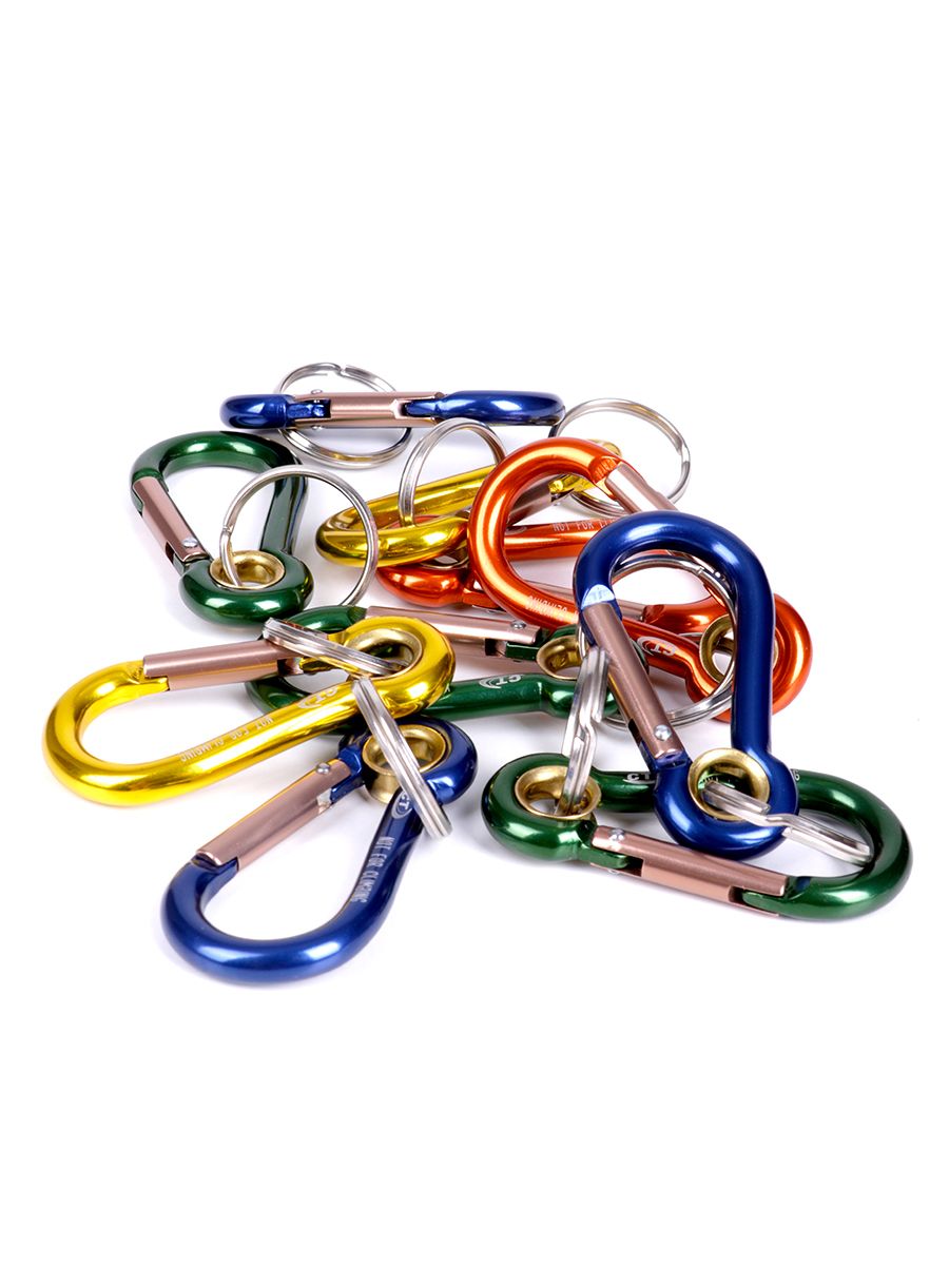 Privjesak Climbing Technology/SKYLOTEC Key 504 - assorted