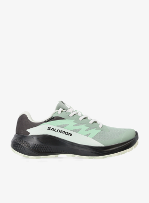 SalomonAlphaglideGTX_greenmilieuasphalt_fw26_198720296527_1_173.webp