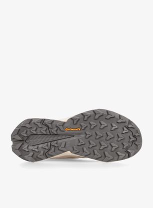 Niske planinarske cipele adidas TERREX Trailmaker 2 Leather - wonder beige/charcoal