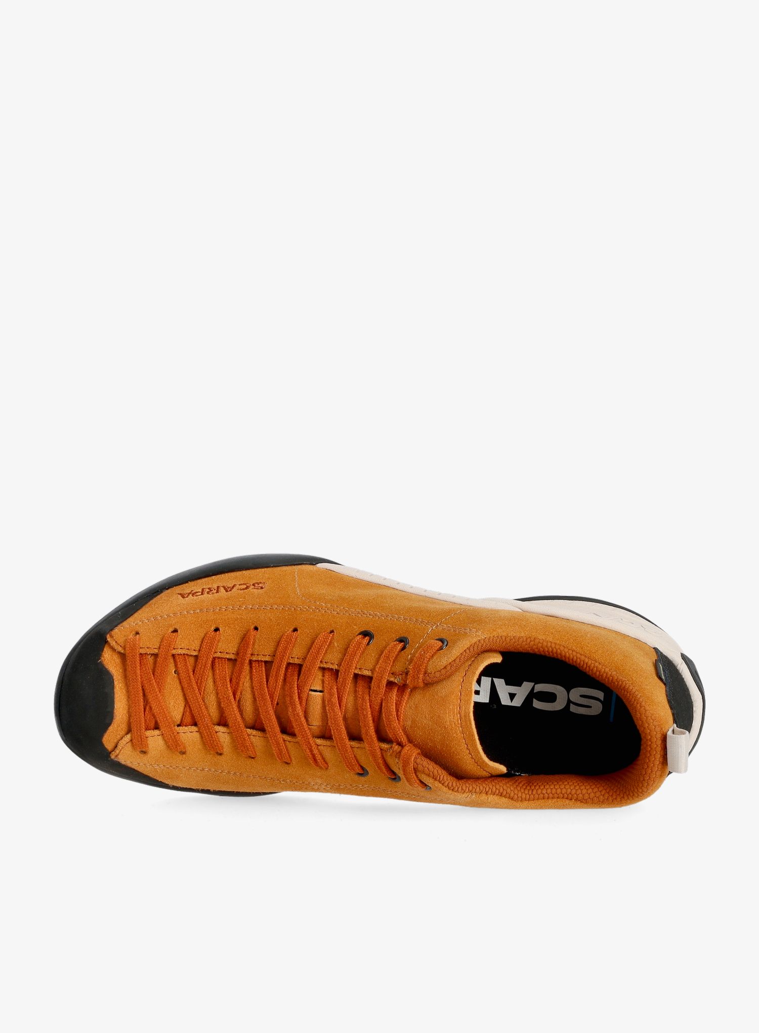 Muške cipele Scarpa Mojito GTX  - orange rust