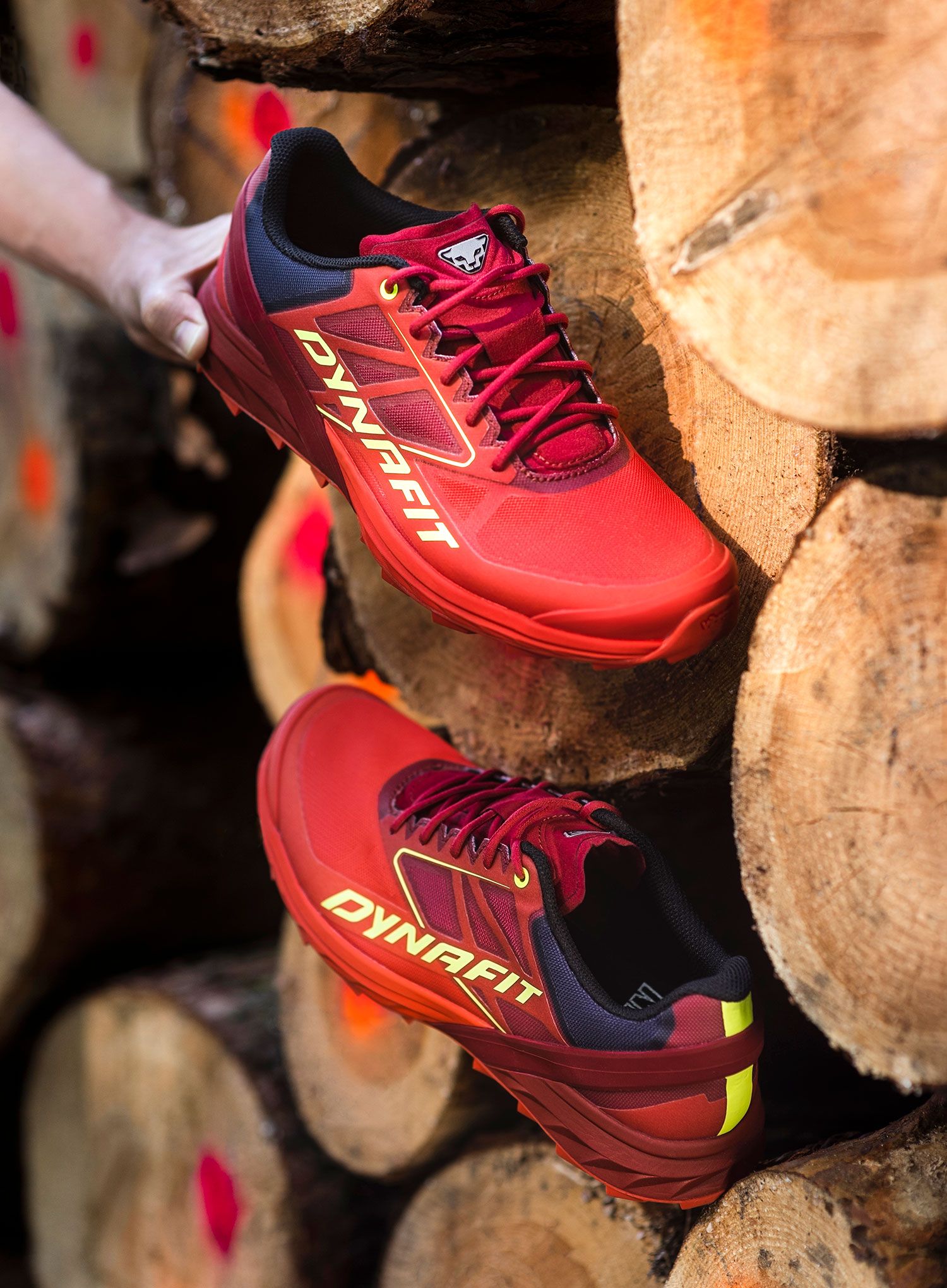 Tenisice za trail trčanje Dynafit Alpine - red dhaila/dawn