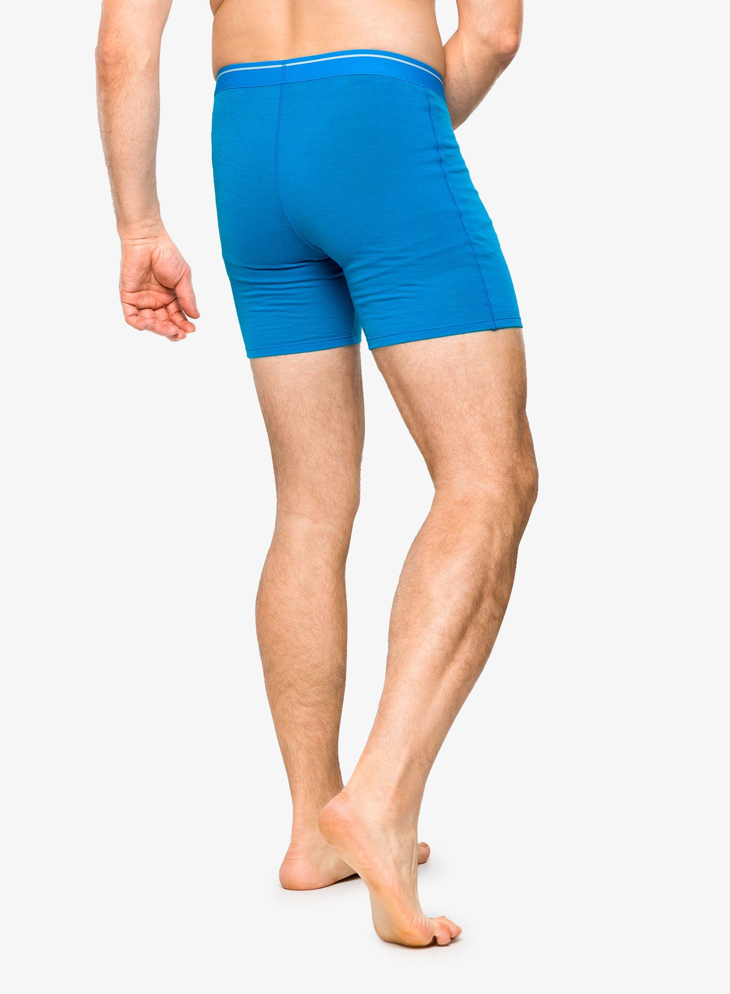Termoaktivne bokserice Icebreaker Anatomica Long Boxers - geo blue