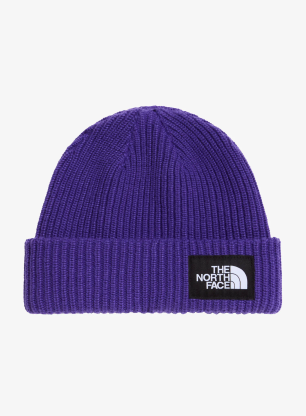 TheNorthFaceSaltyLinedBeanie_peakpurple_fw26_198269042517_293.webp