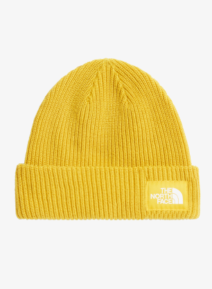 TheNorthFaceSaltyLinedBeanie_pigmentyellow_fw26_198269086511_352.webp