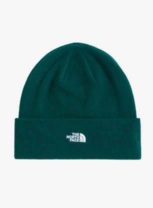 TheNorthFaceNormBeanie_huntergreen_fw26_198269050604_327.webp
