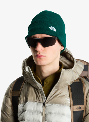 Zimska kapa The North Face Norm Beanie - hunter green