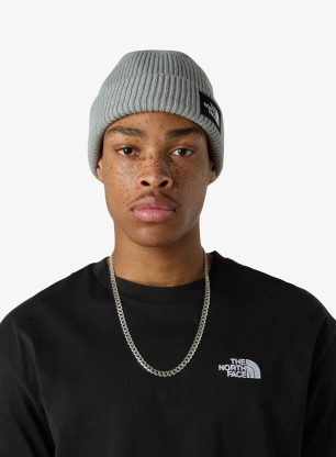 TheNorthFaceSaltyLinedBeanie_lightgreyheather_fw26_197803996958_213.webp
