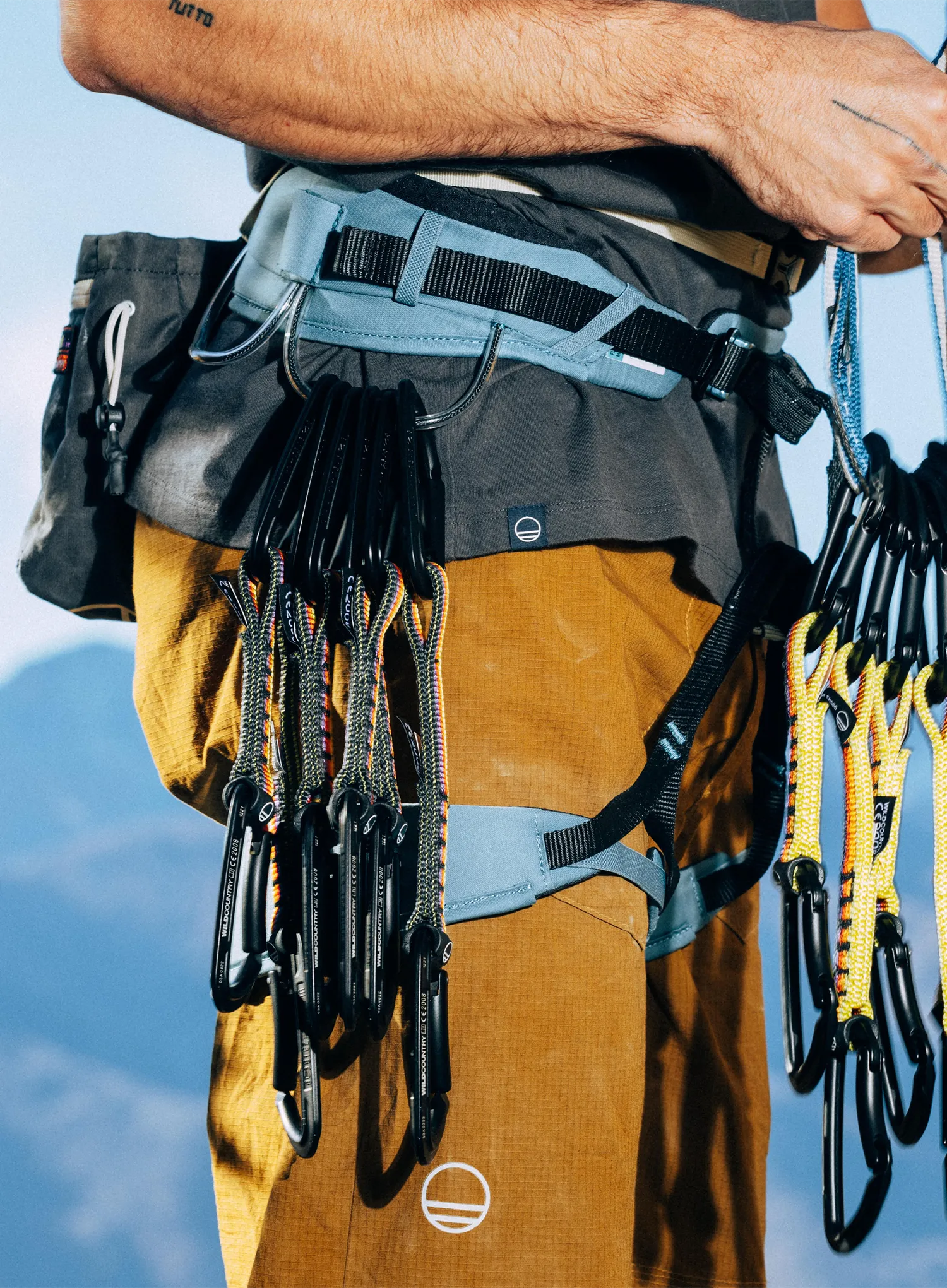 Penjački komplet Wild Country Session Quickdraw 12 cm -  heritage