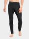 Termo tajice Sensor Merino Active Underpants - black