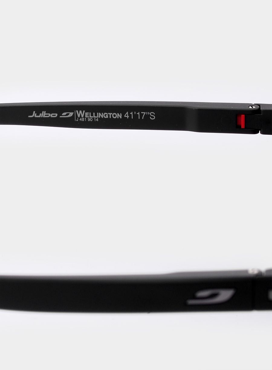 Sunčane naočale Julbo Wellington - matt black