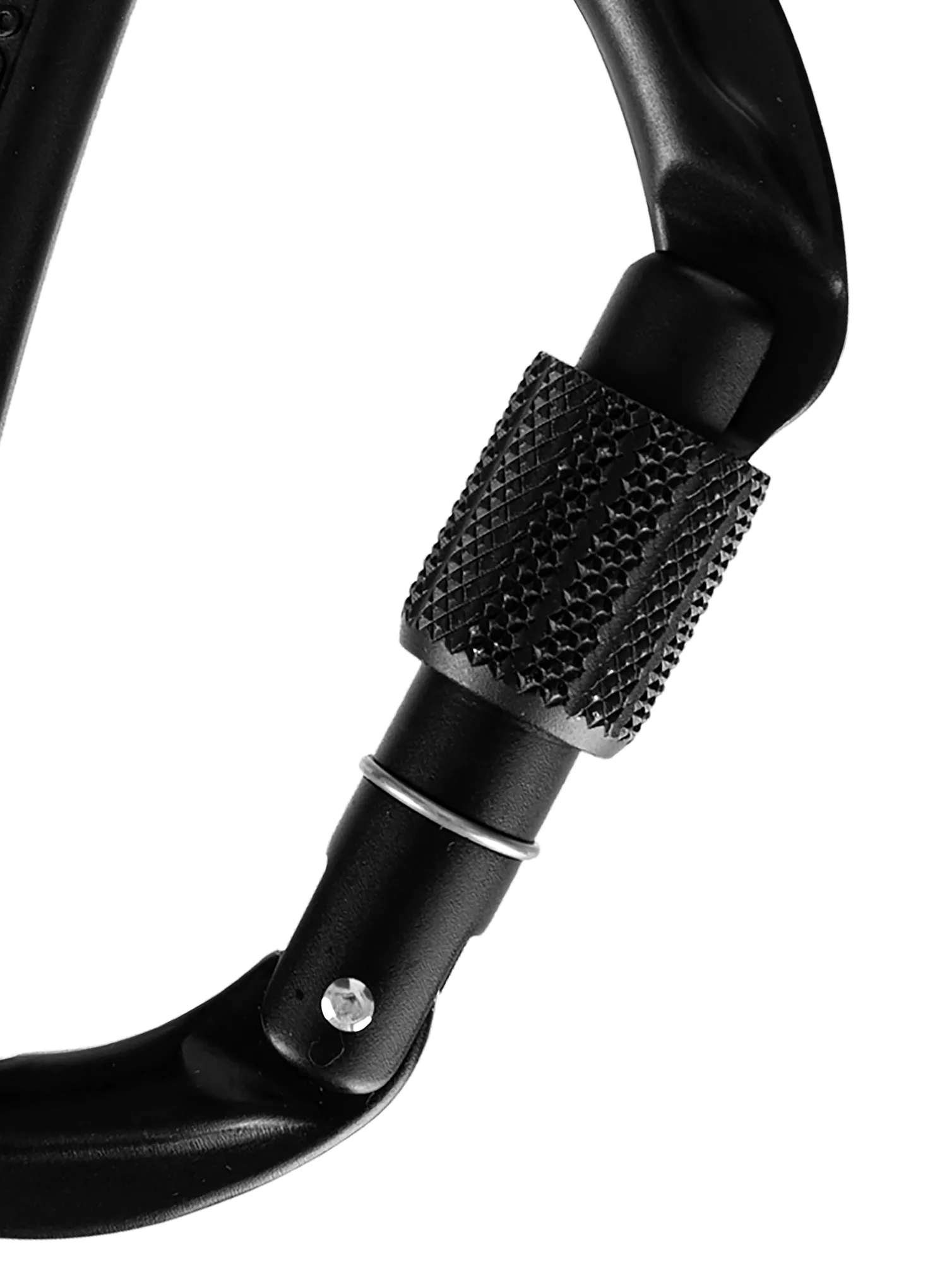 Karabiner za penjanje Wild Country Session Screw Gate - black