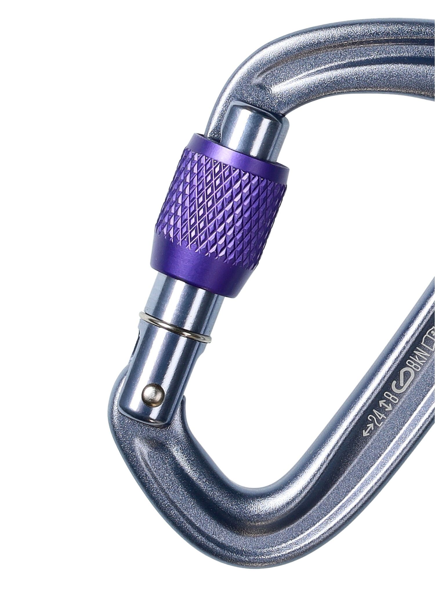 Karabiner za penjanje Black Diamond LiteForge Screwgate - gray