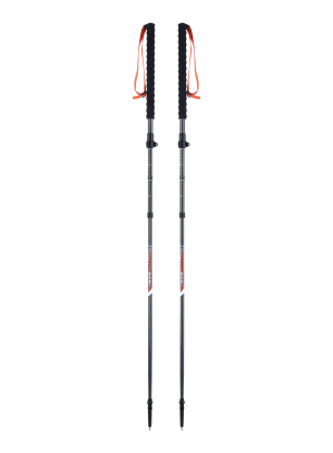 Štapovi za turno skijanje Viking Mission FS Skitouring - grey