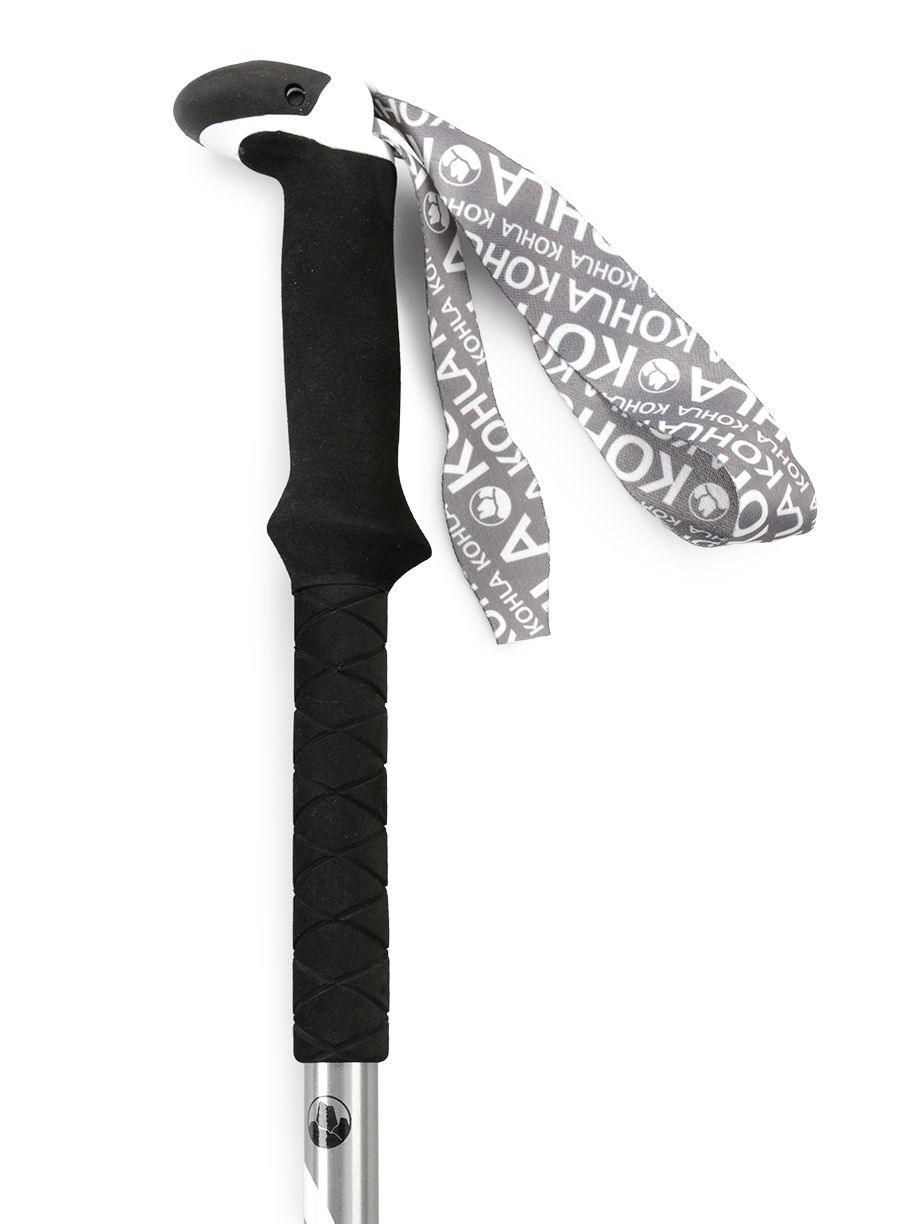 Aluminijski štapovi Kohla Evolution Emotion Pro - white/silver